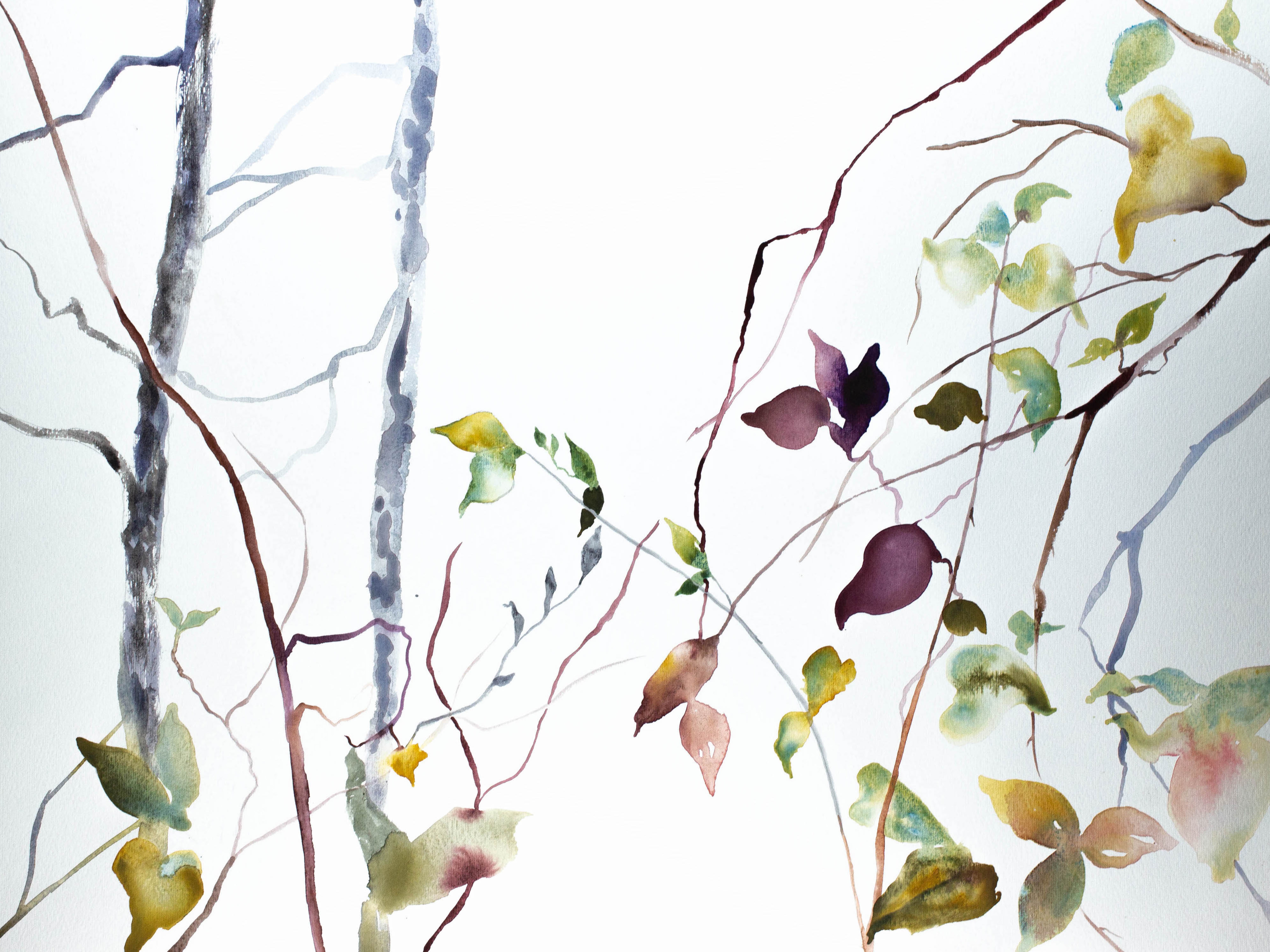 Elizabeth Becker, The Woods No. 40 Elizabeth Becker, The Woods No. 40