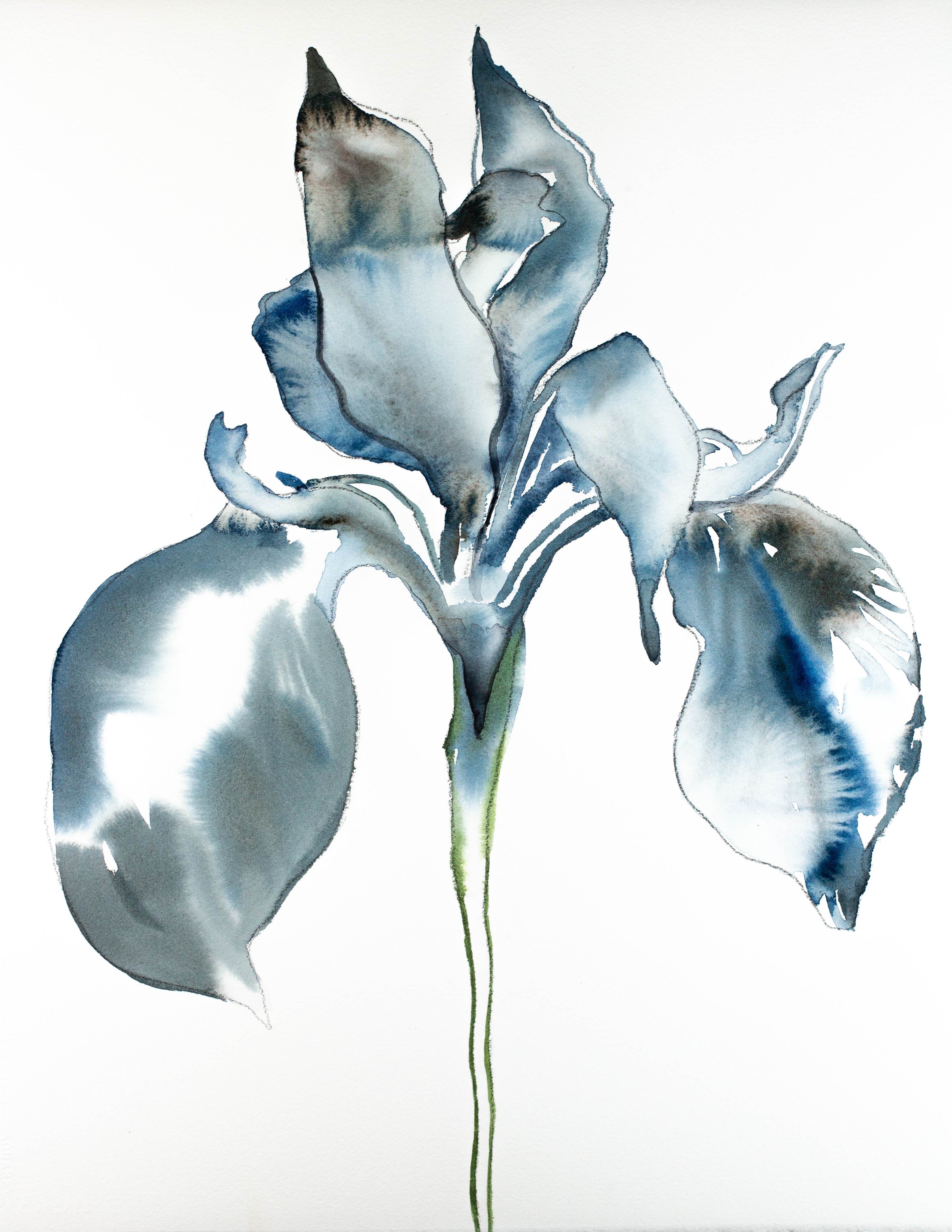 Elizabeth Becker, Iris No. 76 Elizabeth Becker, Iris No. 76