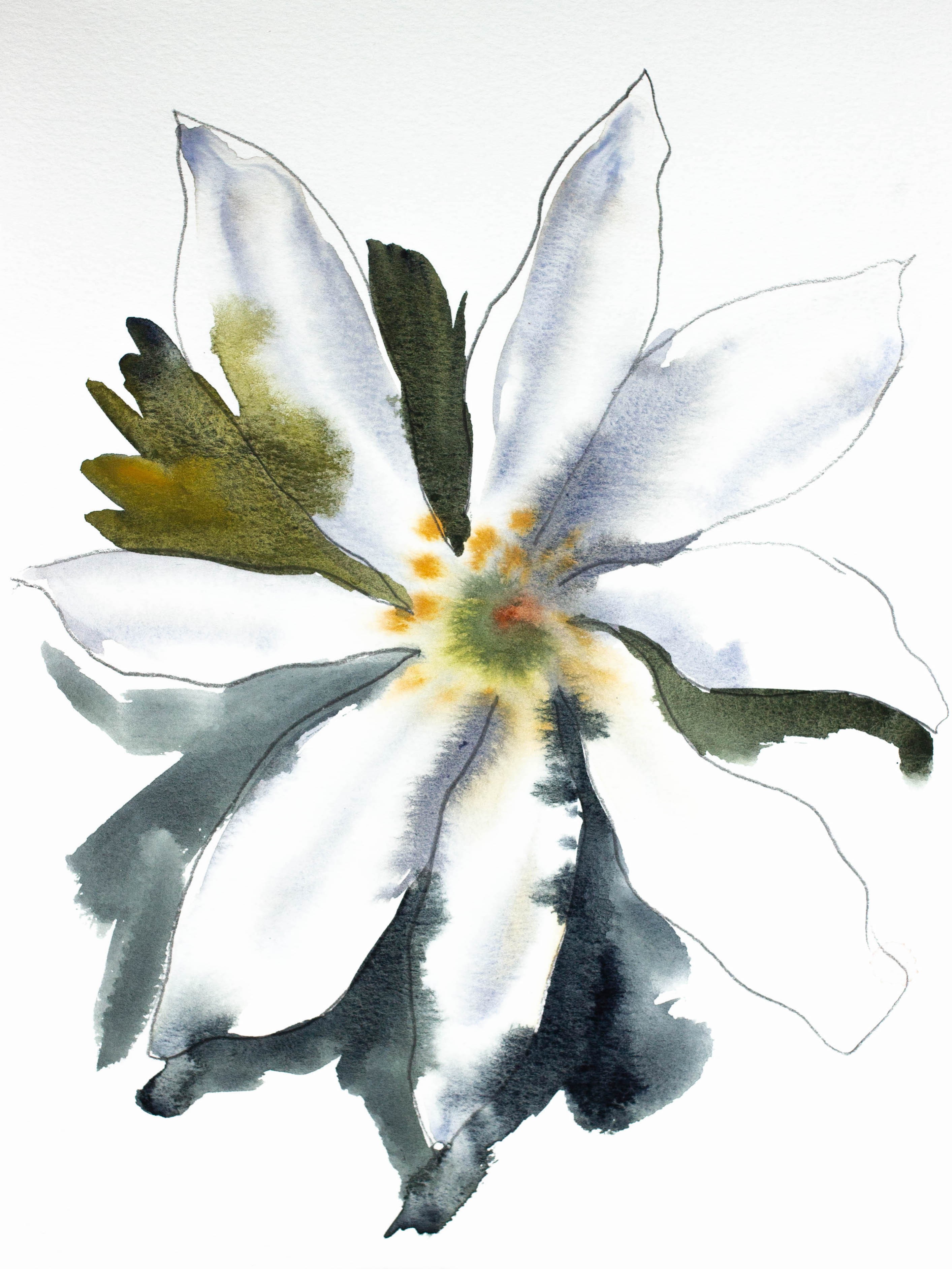 Elizabeth Becker, Bloodroot No. 1 Elizabeth Becker, Bloodroot No. 1