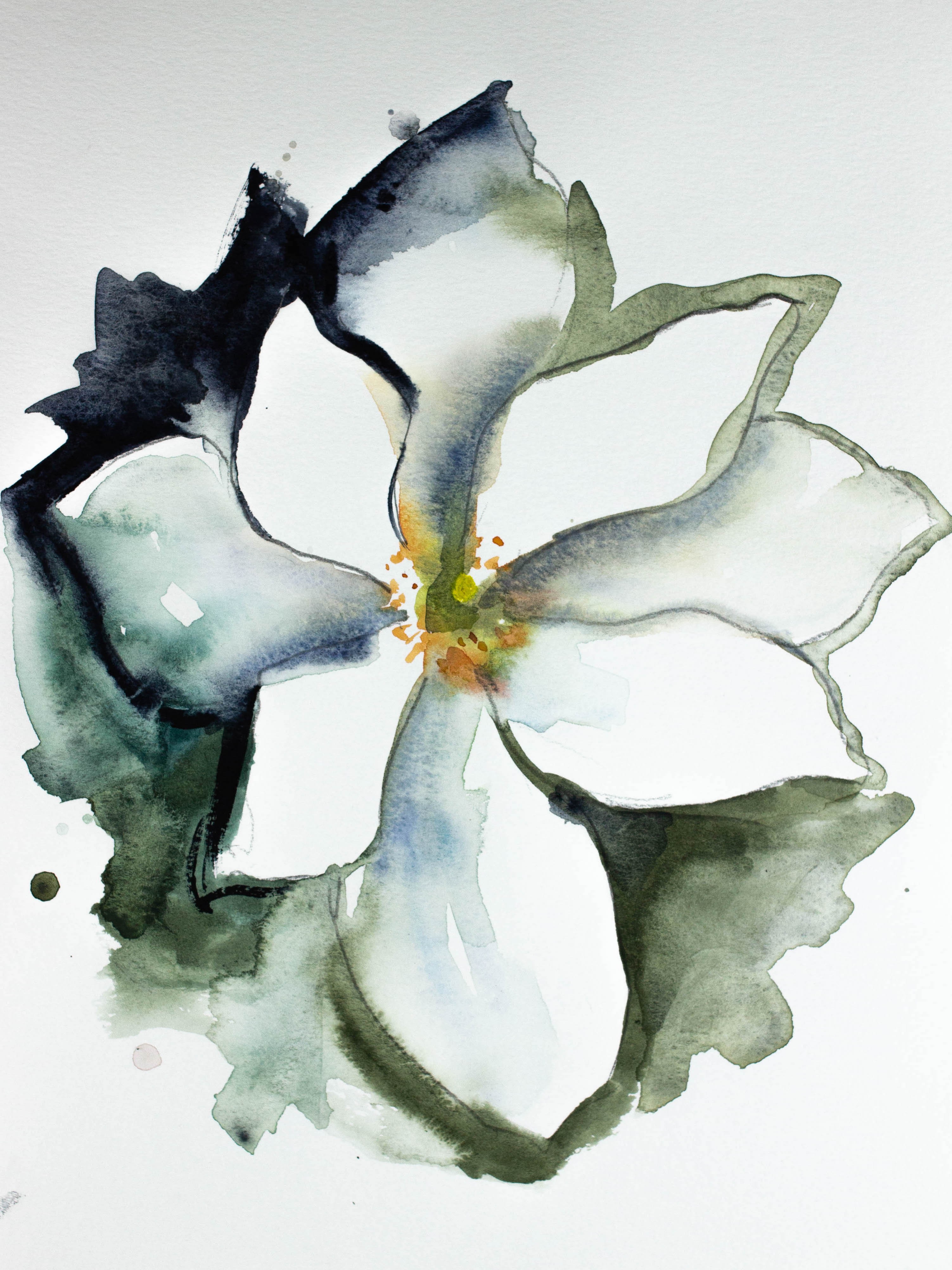Elizabeth Becker, Bloodroot No. 2 Elizabeth Becker, Bloodroot No. 2