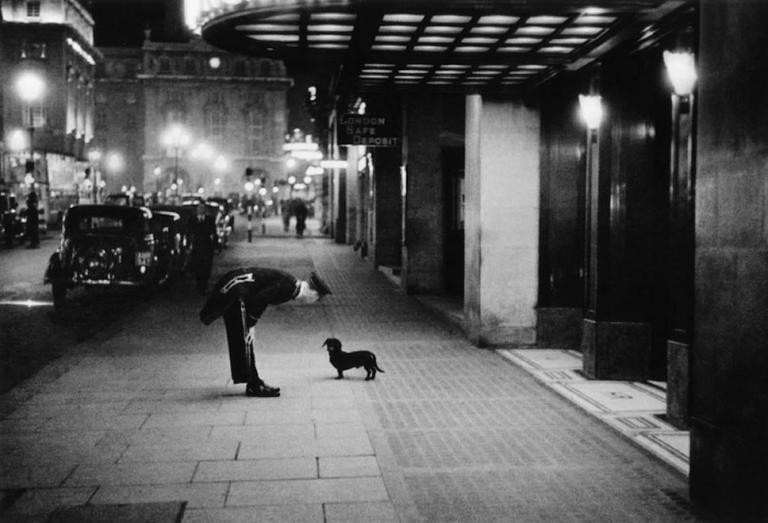 Kurt Hurton, Commissionaire's dog Kurt Hurton, Commissionaire's dog