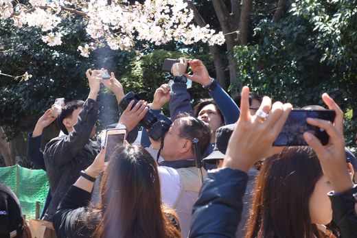 Ichiro Funatogawa