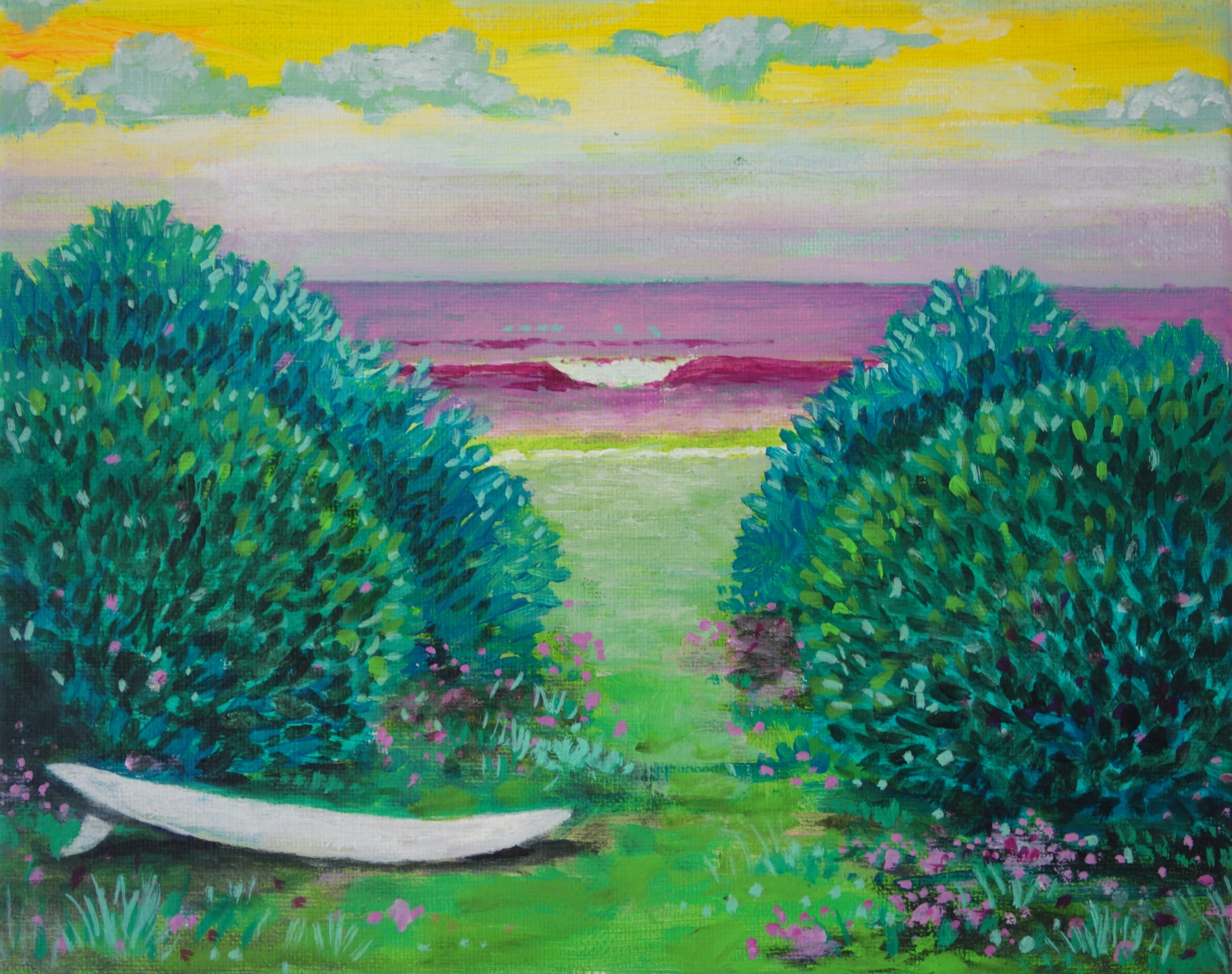 Peter de Boer, Surfspot Peter de Boer, Surfspot