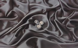 Nest Eggs, Art Grafts
