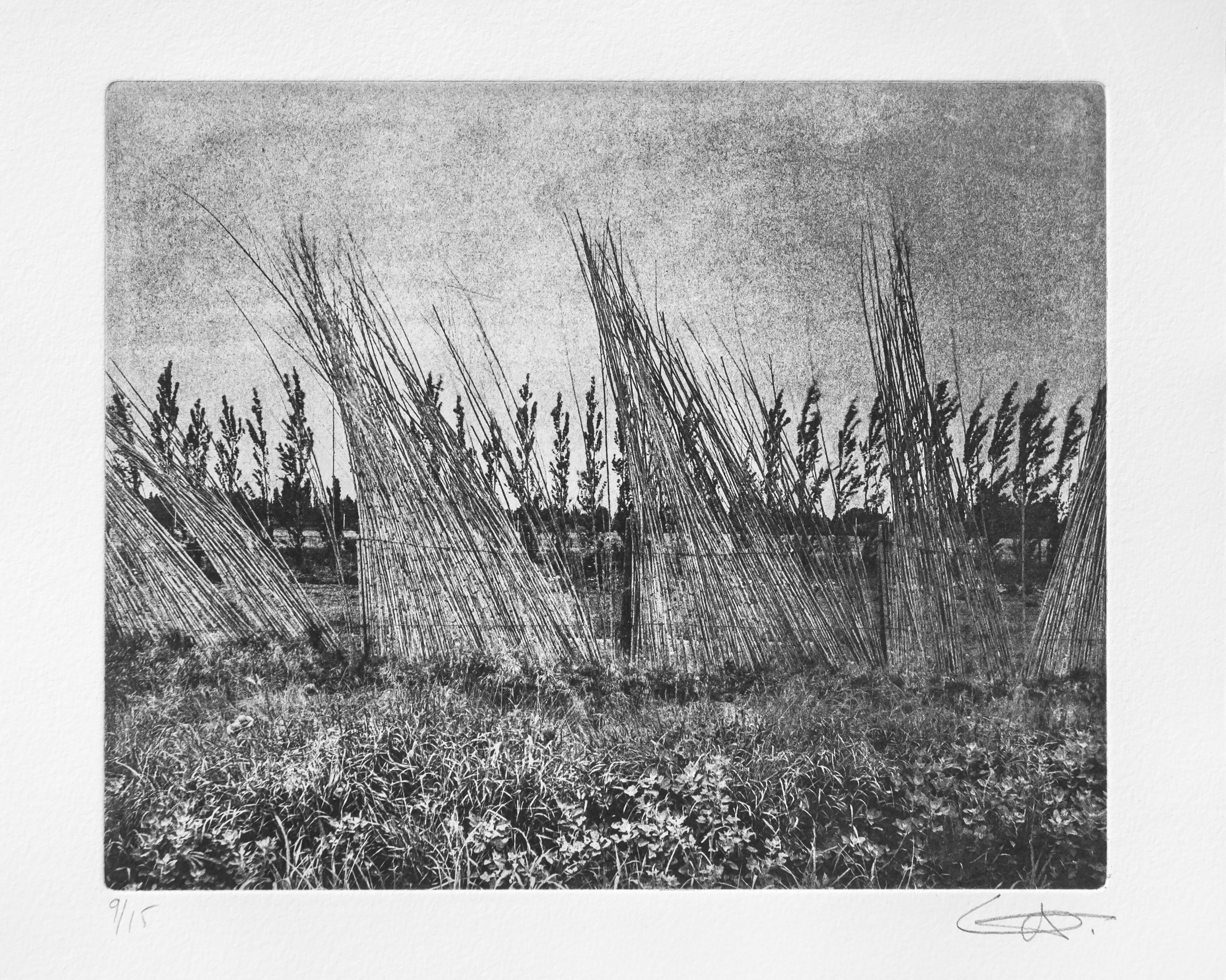 Luc Médrinal, Série 'Terres brûlées II' Luc Médrinal, Série 'Terres brûlées II'