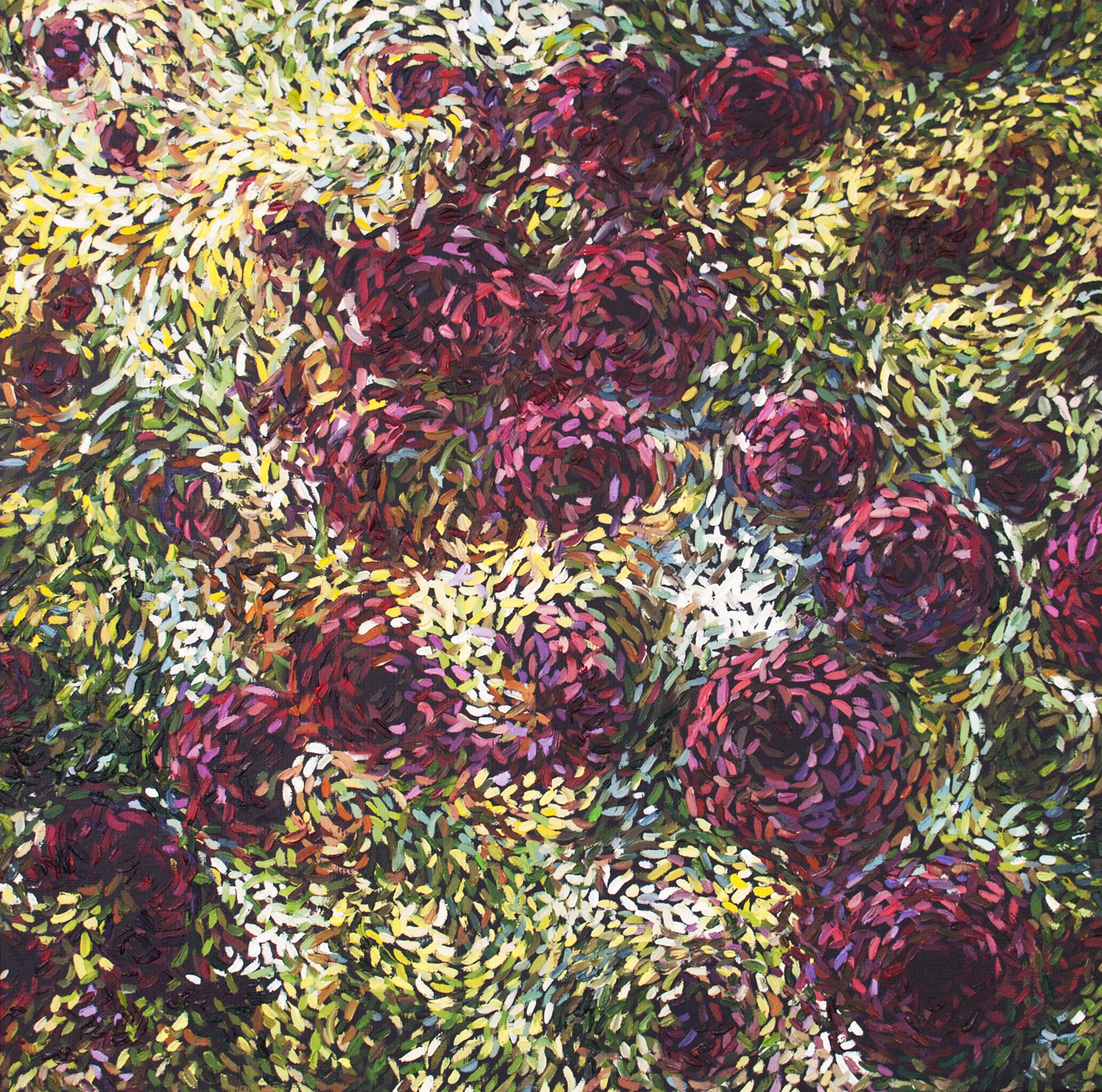 Diana Torje, Dance of Petals Diana Torje, Dance of Petals