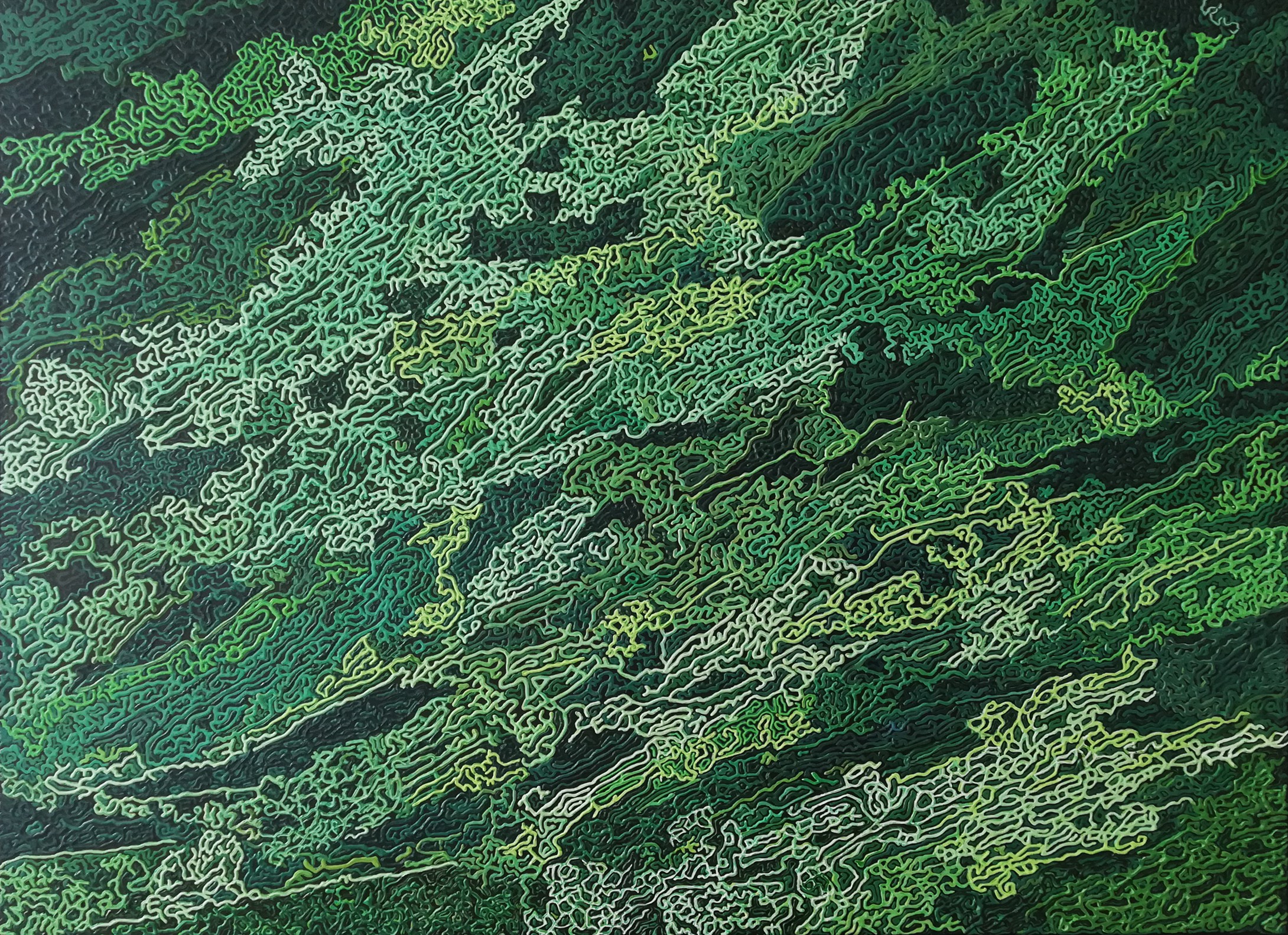 Diana Torje, For Those Who Love Green Diana Torje, For Those Who Love Green