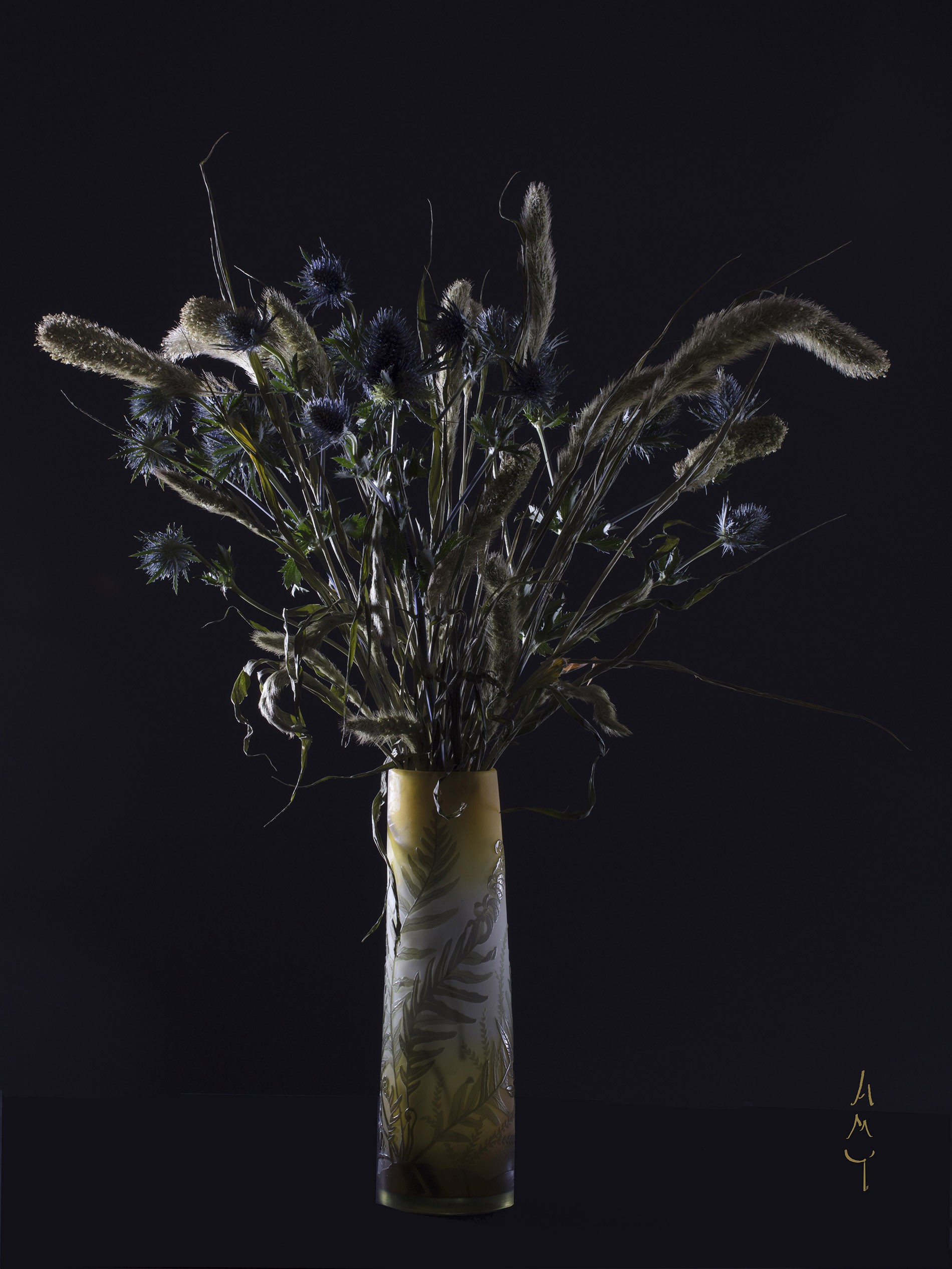 Anne-Marie Toporkoff, Chardons Anne-Marie Toporkoff, Chardons