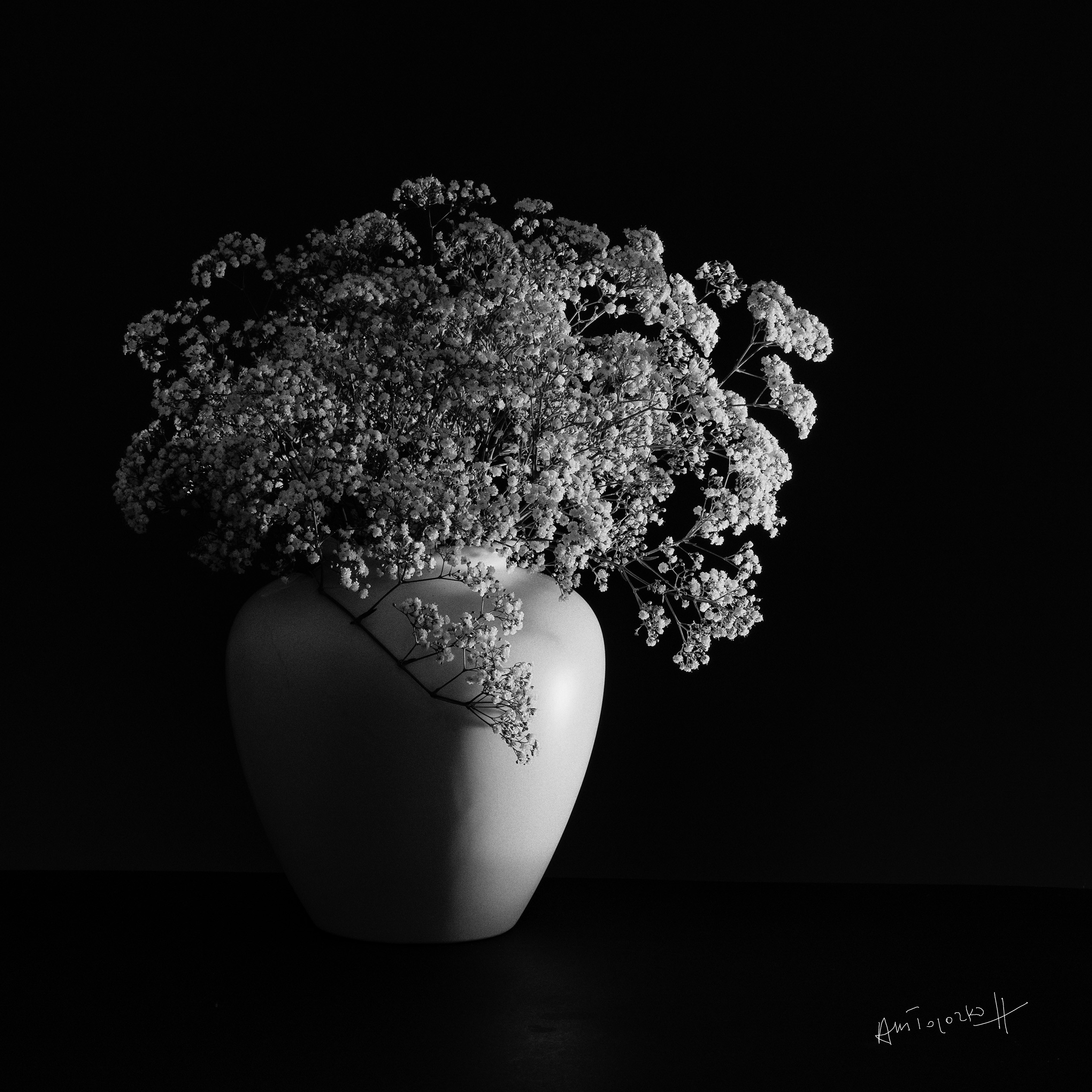 Anne-Marie Toporkoff, Bouquet de Gypsophiles Anne-Marie Toporkoff, Bouquet de Gypsophiles