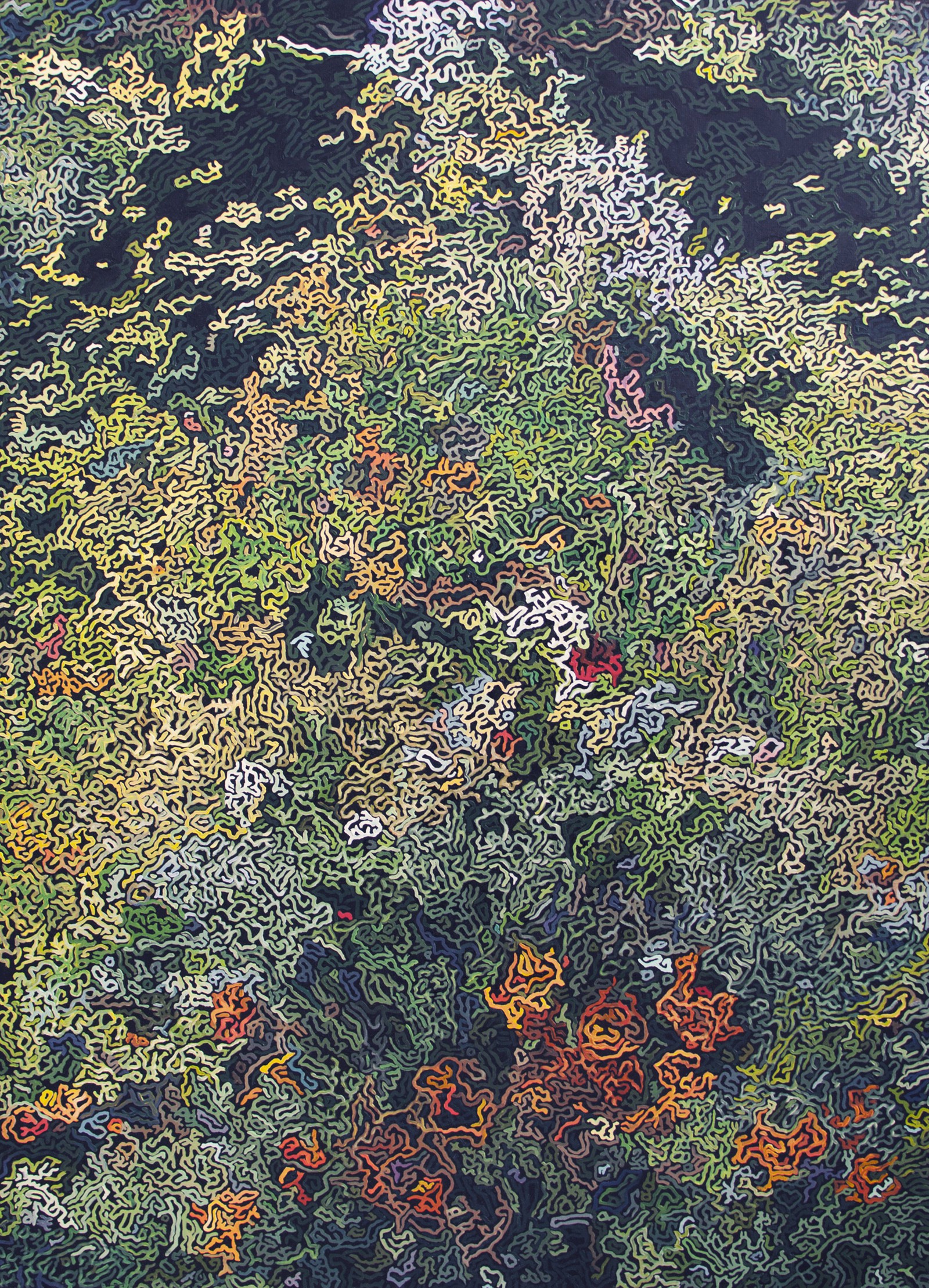 Diana Torje, Secret Garden Diana Torje, Secret Garden
