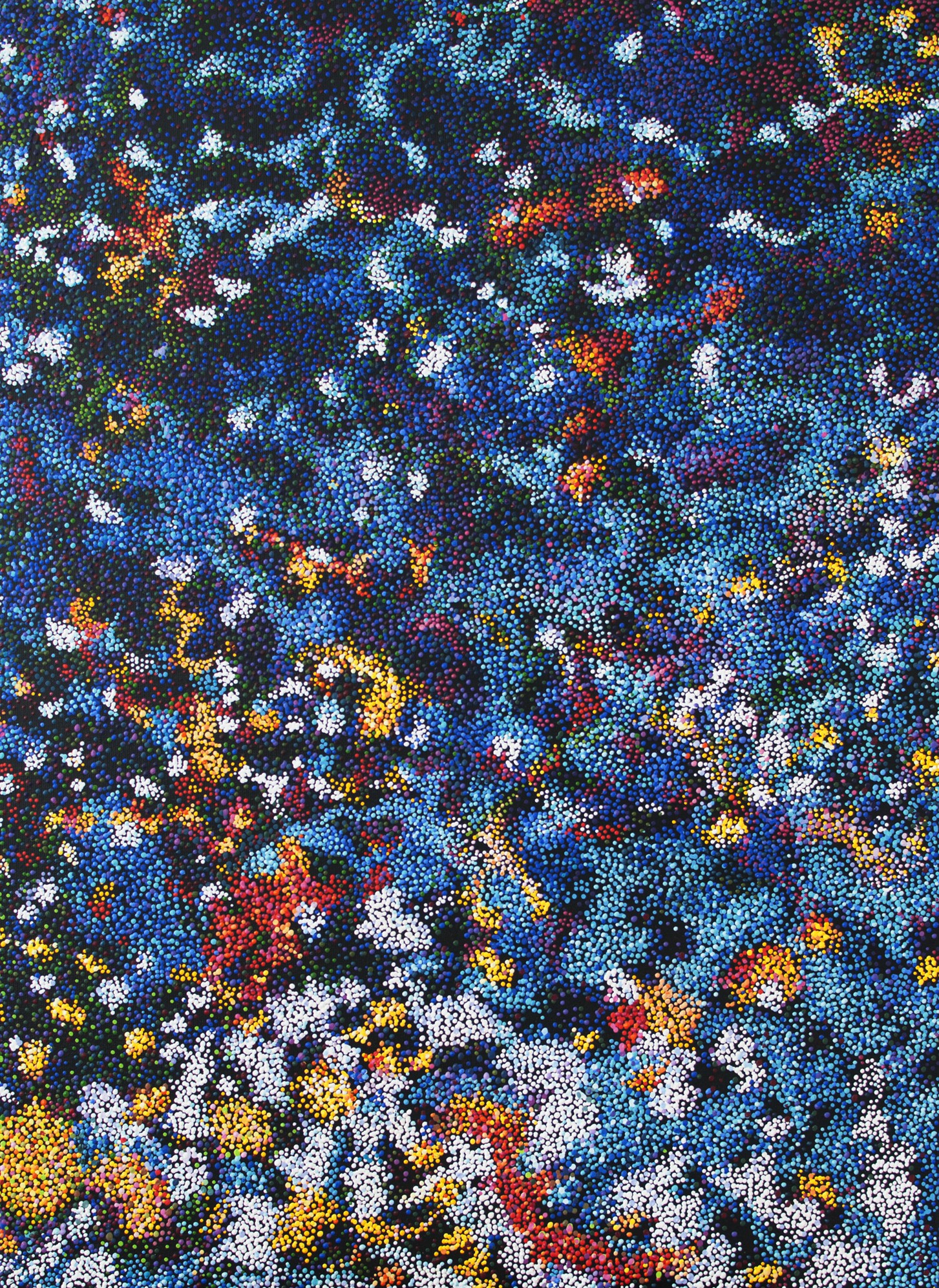 Diana Torje, The Reef Diana Torje, The Reef