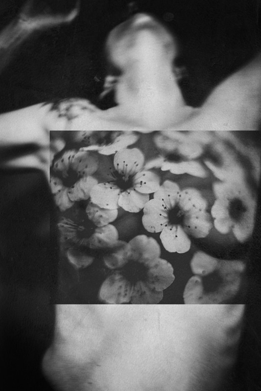 Cécile Baldewyns, Fleurir Cécile Baldewyns, Fleurir