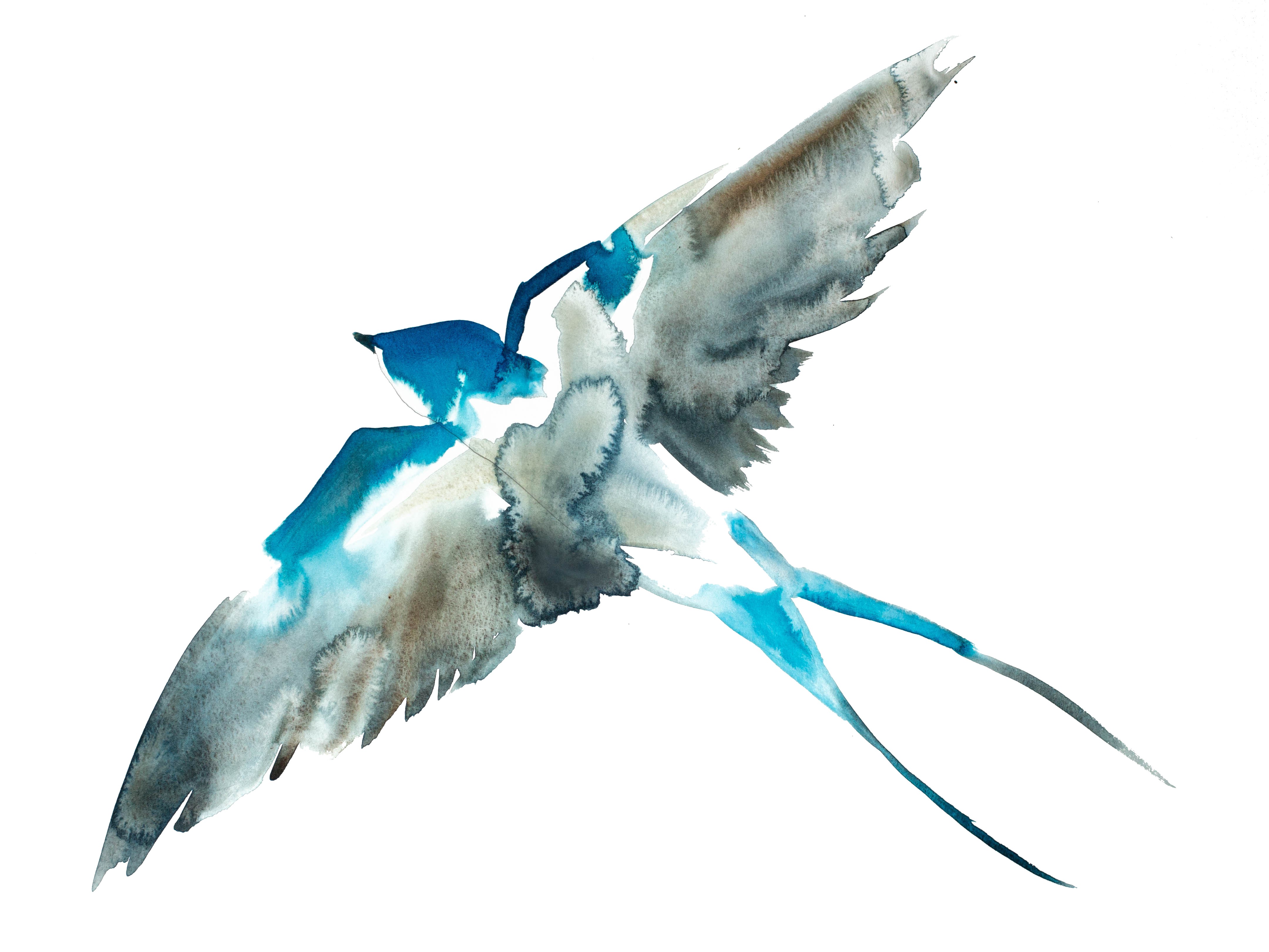 Elizabeth Becker, Swallow No. 10 Elizabeth Becker, Swallow No. 10