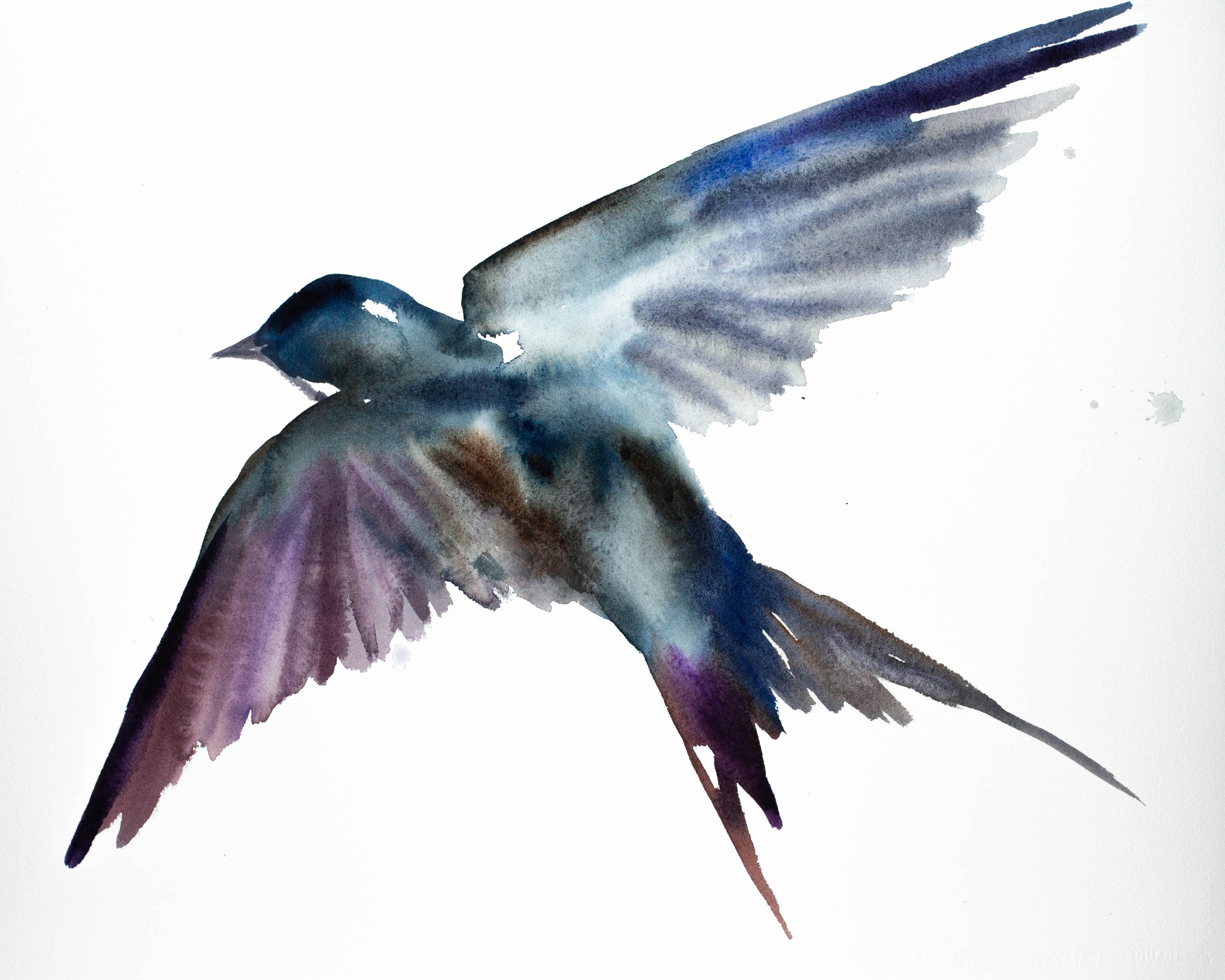 Elizabeth Becker, Swallow No. 17 Elizabeth Becker, Swallow No. 17