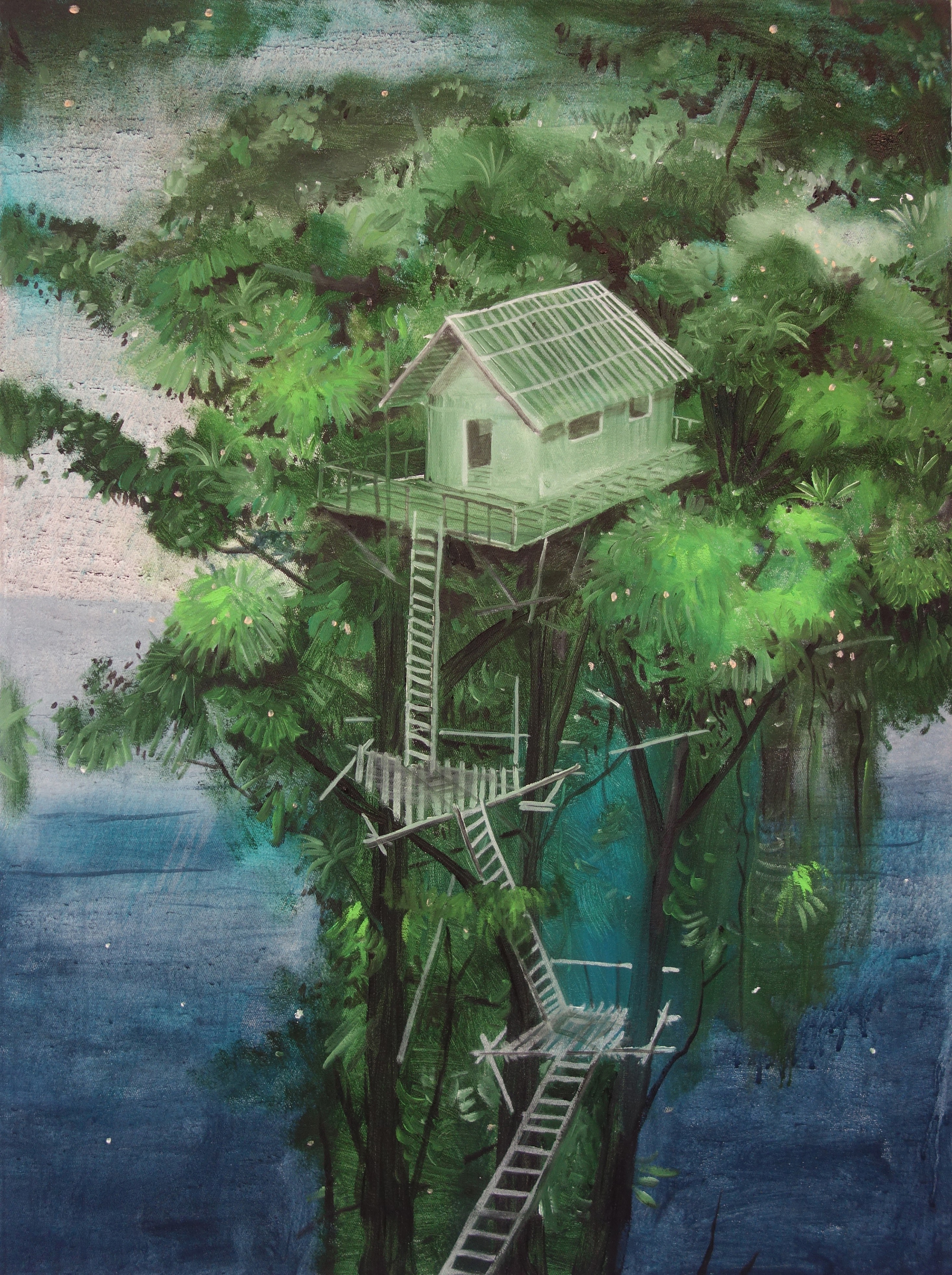 Peter de Boer, Skyhouse Peter de Boer, Skyhouse