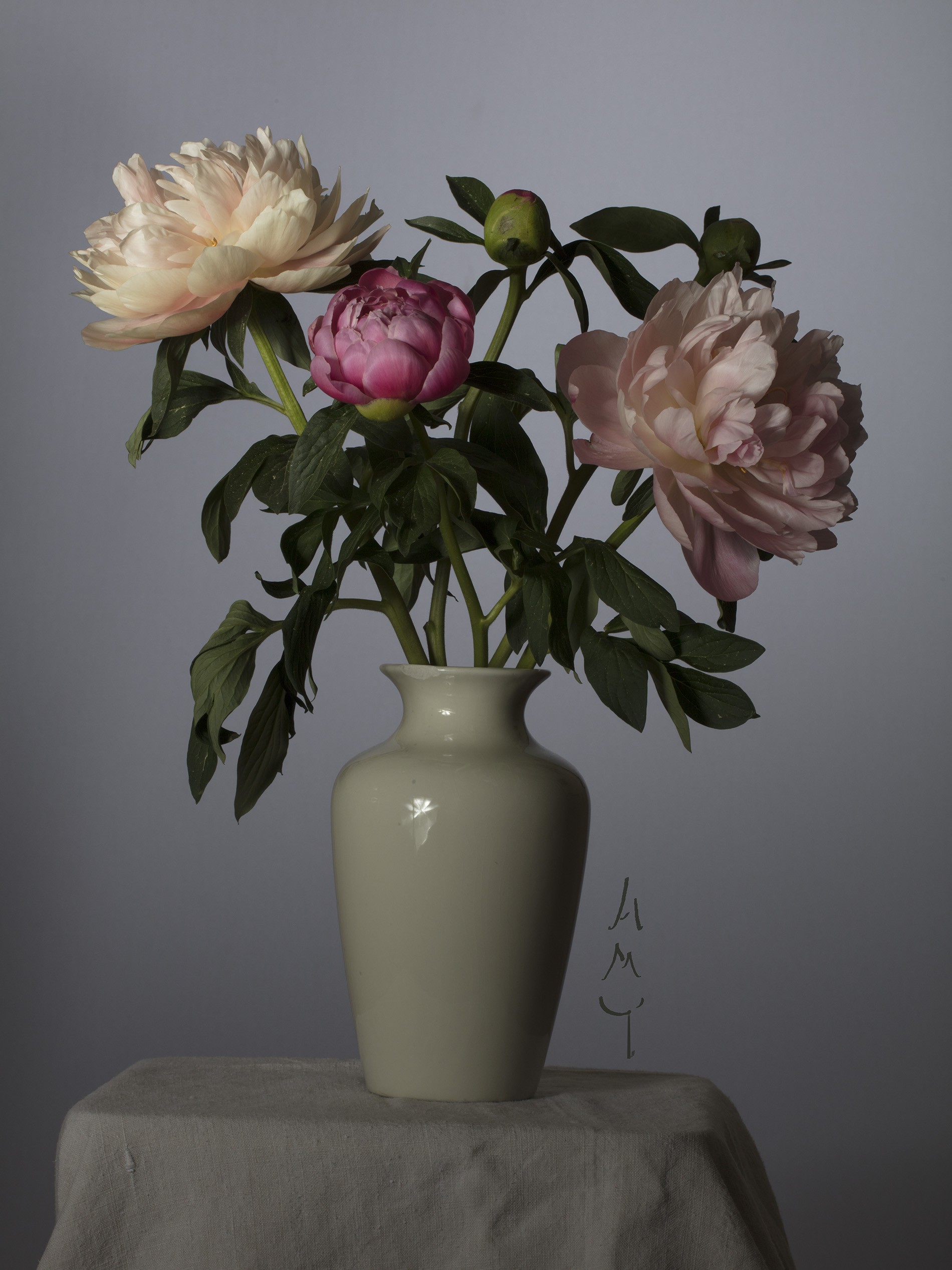 Anne-Marie Toporkoff, Pivoines Anne-Marie Toporkoff, Pivoines