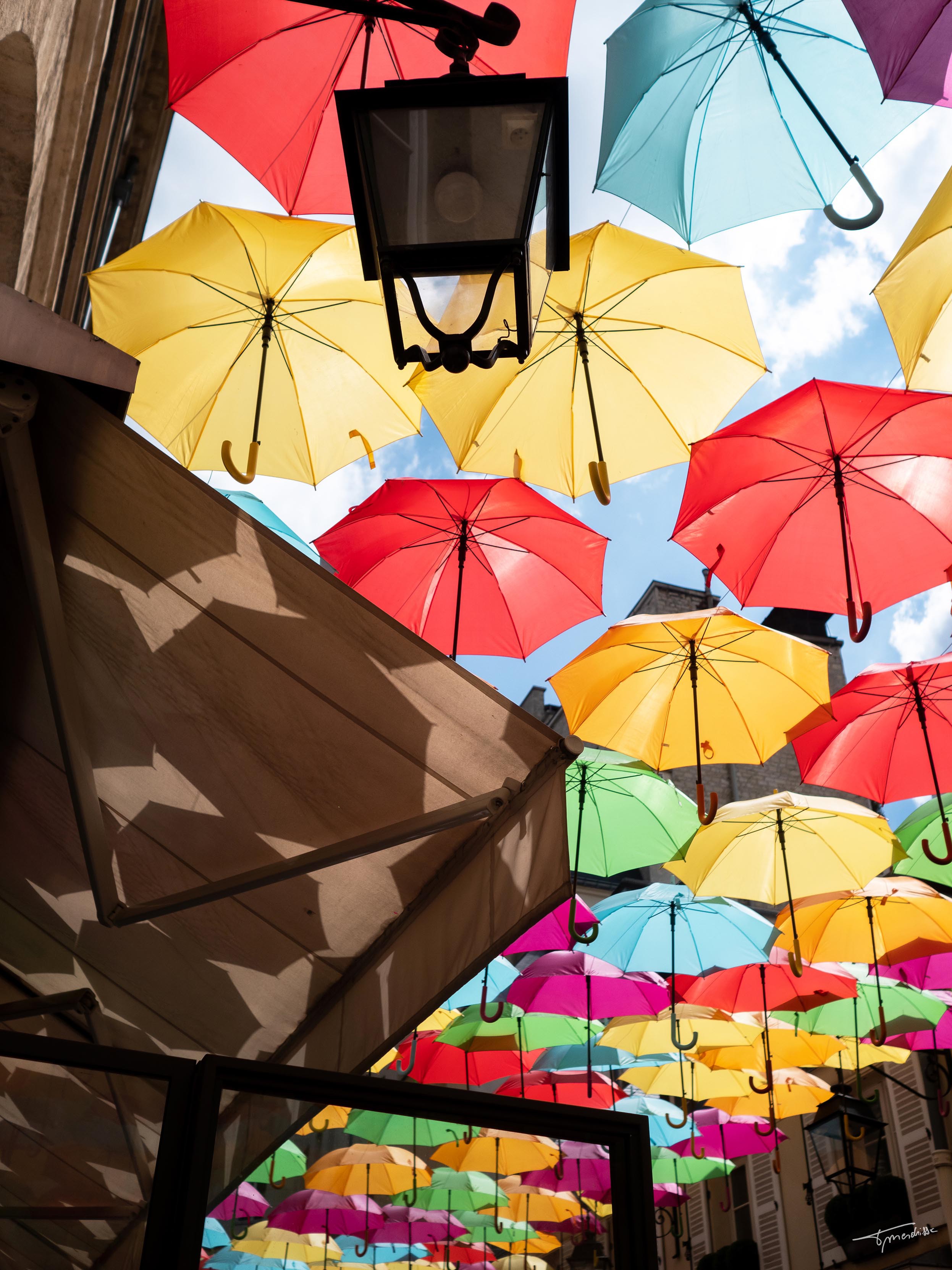 Tanguy Mendrisse, Parapluies Royal Tanguy Mendrisse, Parapluies Royal
