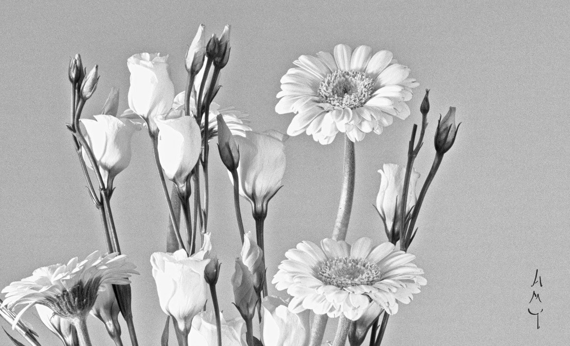 Anne-Marie Toporkoff, Bouquet blanc Anne-Marie Toporkoff, Bouquet blanc