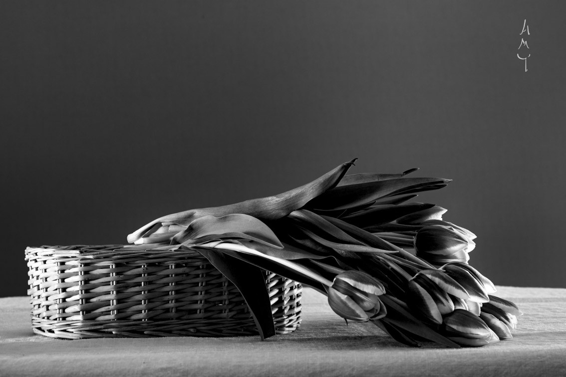 Anne-Marie Toporkoff, Tulipes en black and white Anne-Marie Toporkoff, Tulipes en black and white