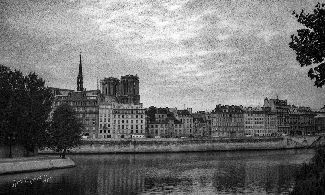 Anne-Marie Toporkoff, Notre-Dame de Paris Anne-Marie Toporkoff, Notre-Dame de Paris