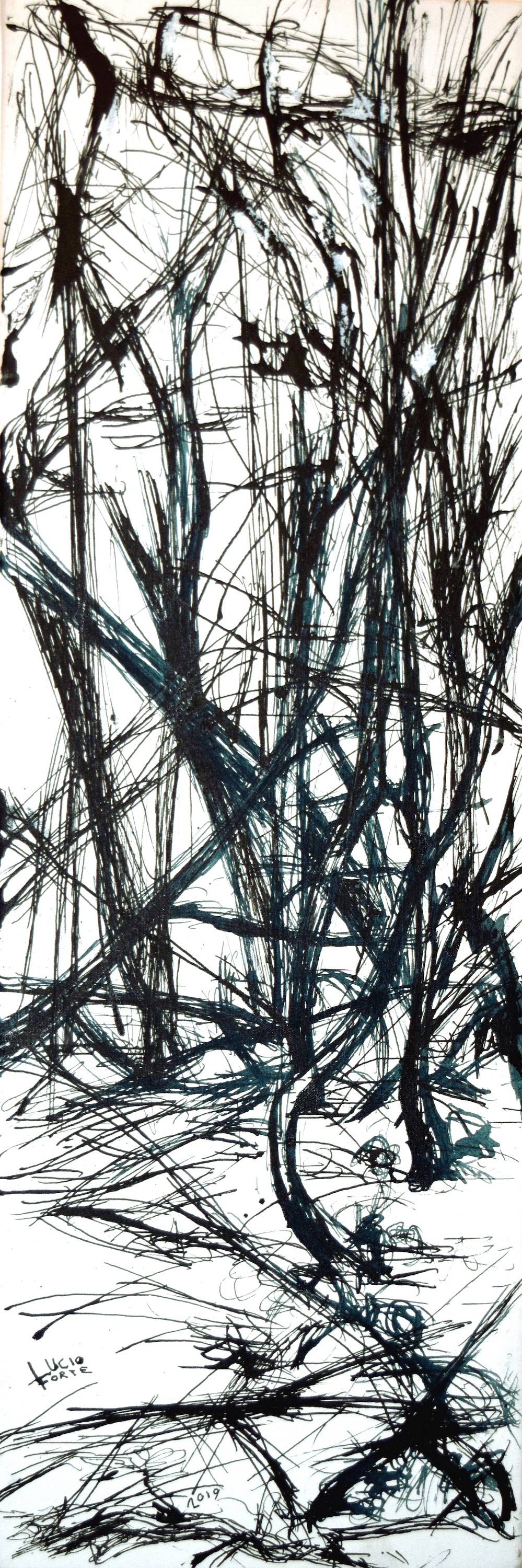Lucio Forte, Untitled Lucio Forte, Untitled