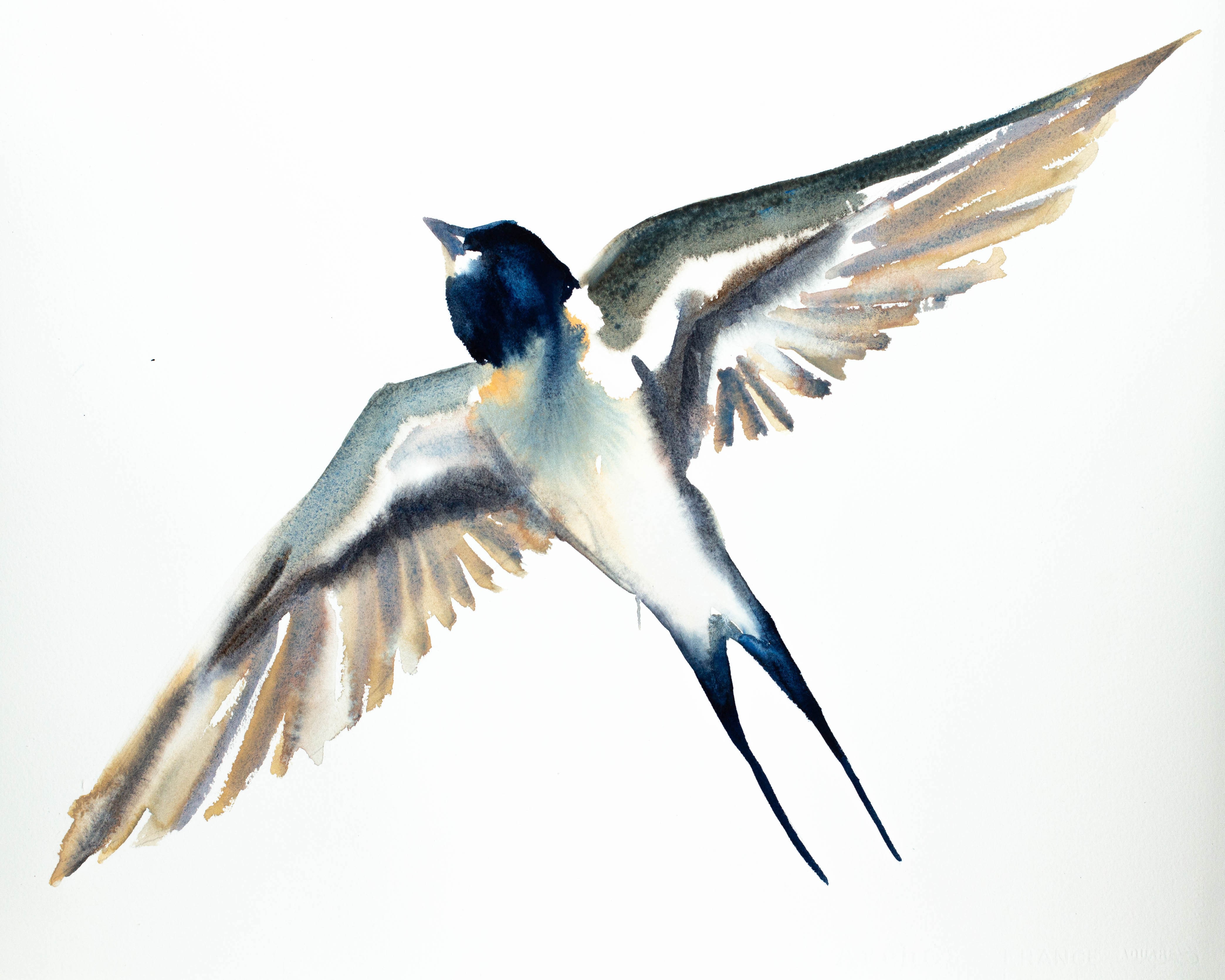Elizabeth Becker, Swallow No. 19 Elizabeth Becker, Swallow No. 19