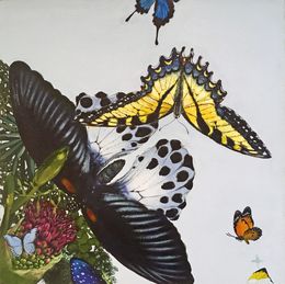 Barkis Bittern, Keng Wai Lee