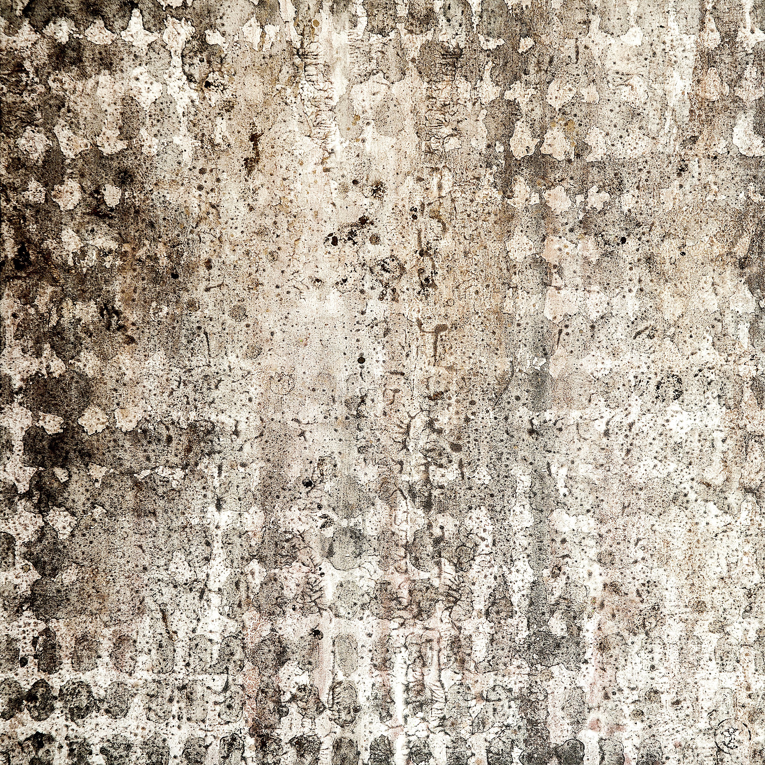 Nicolas Galtier, N°50-22 11 (NG63) Nicolas Galtier, N°50-22 11 (NG63)