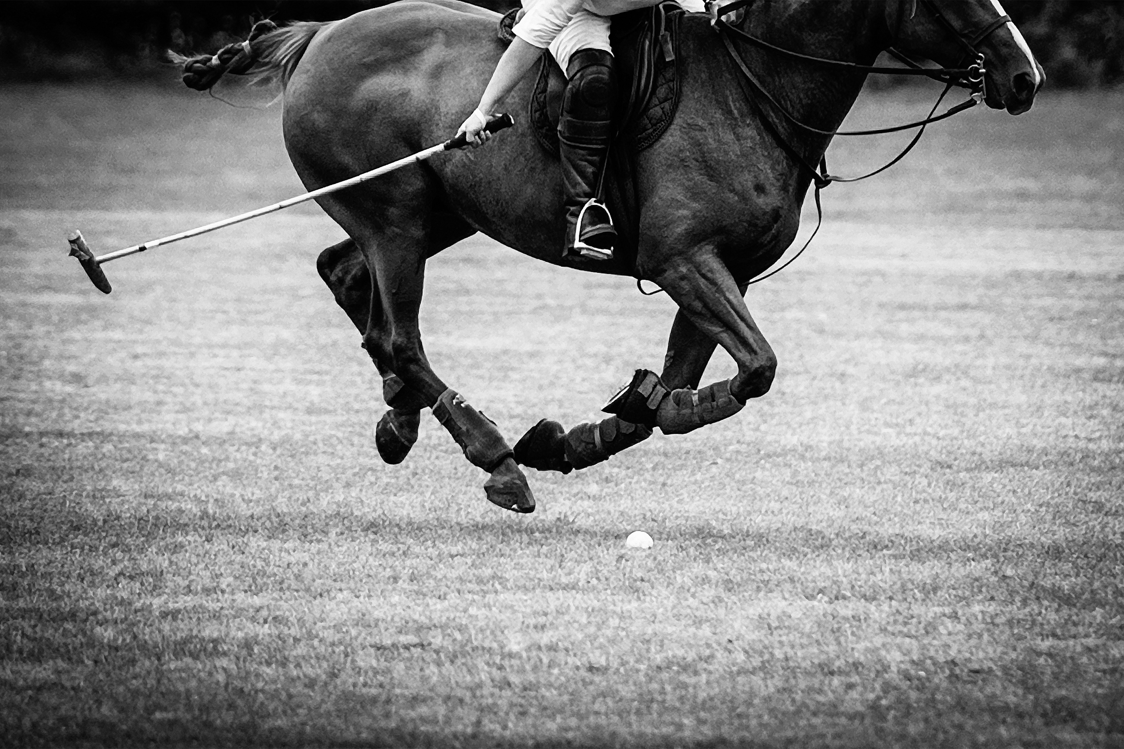 Paul J Bucknall, Riding High Paul J Bucknall, Riding High
