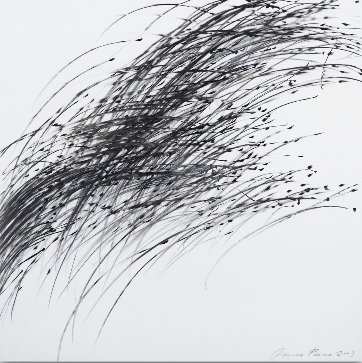 Jaanika Peerna, Storm Series (Ref 844) Jaanika Peerna, Storm Series (Ref 844)