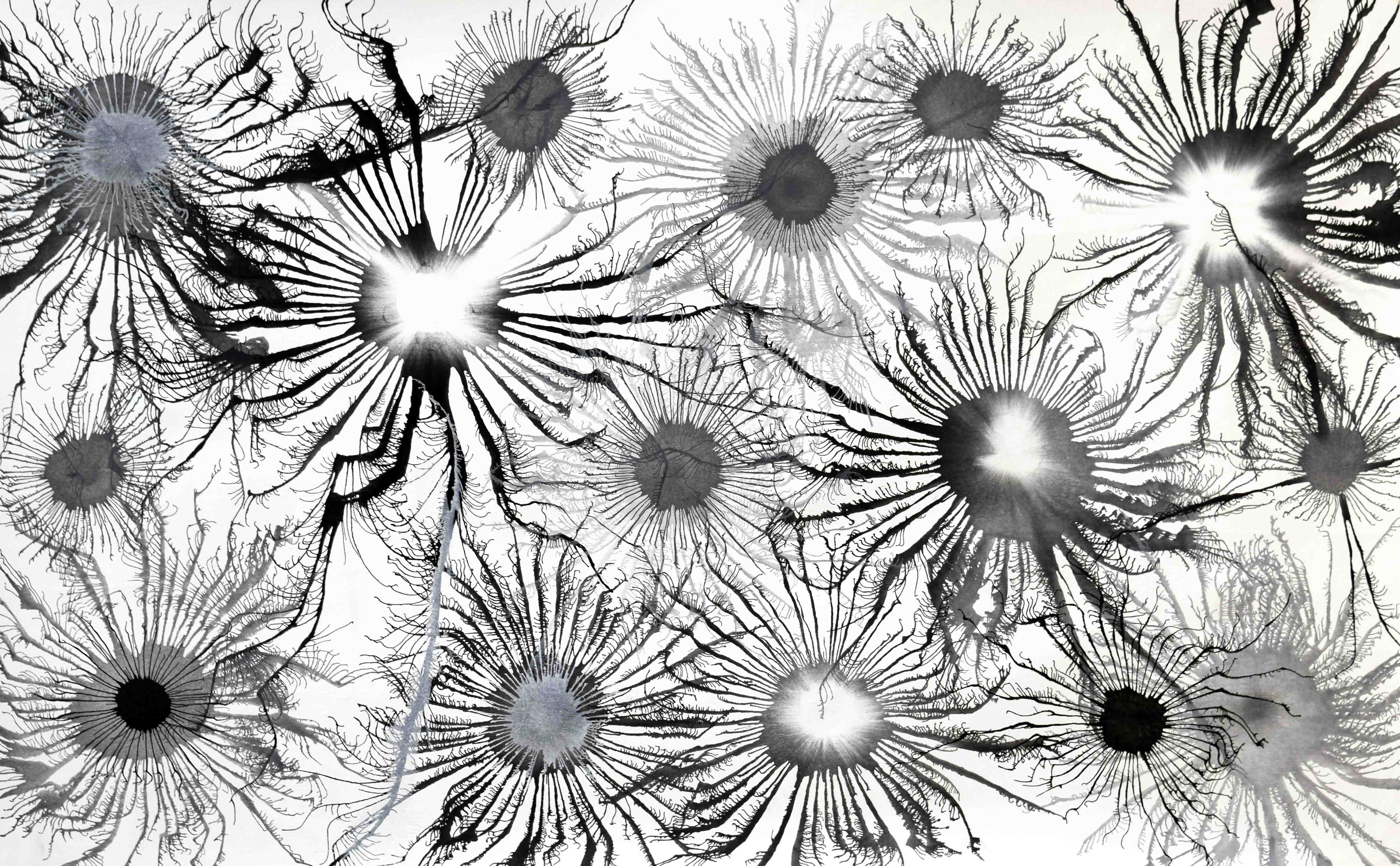 Sumit Mehndiratta, Exploflora Series No.69 Sumit Mehndiratta, Exploflora Series No.69