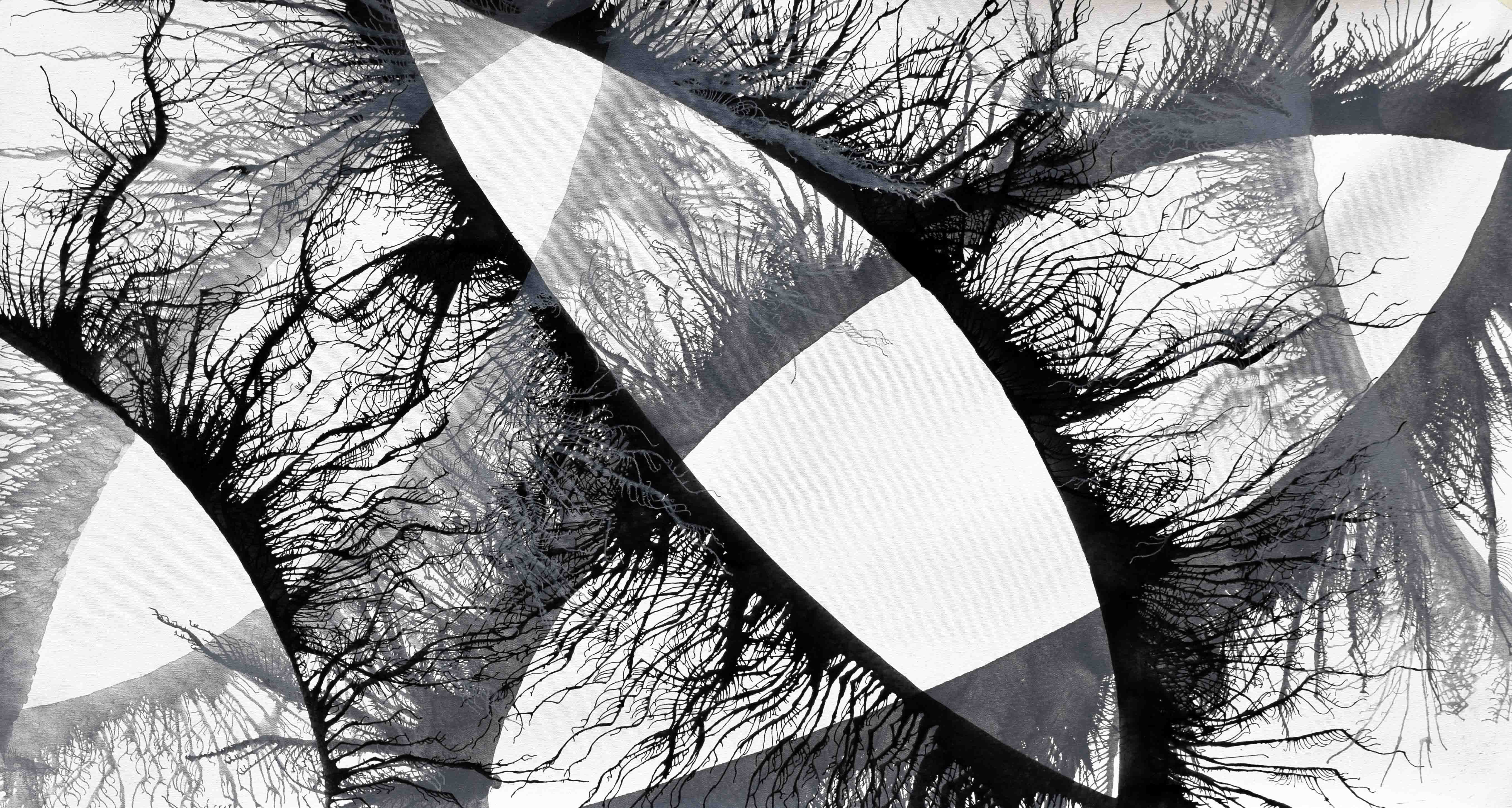 Sumit Mehndiratta, Exploflora Series No.70 Sumit Mehndiratta, Exploflora Series No.70
