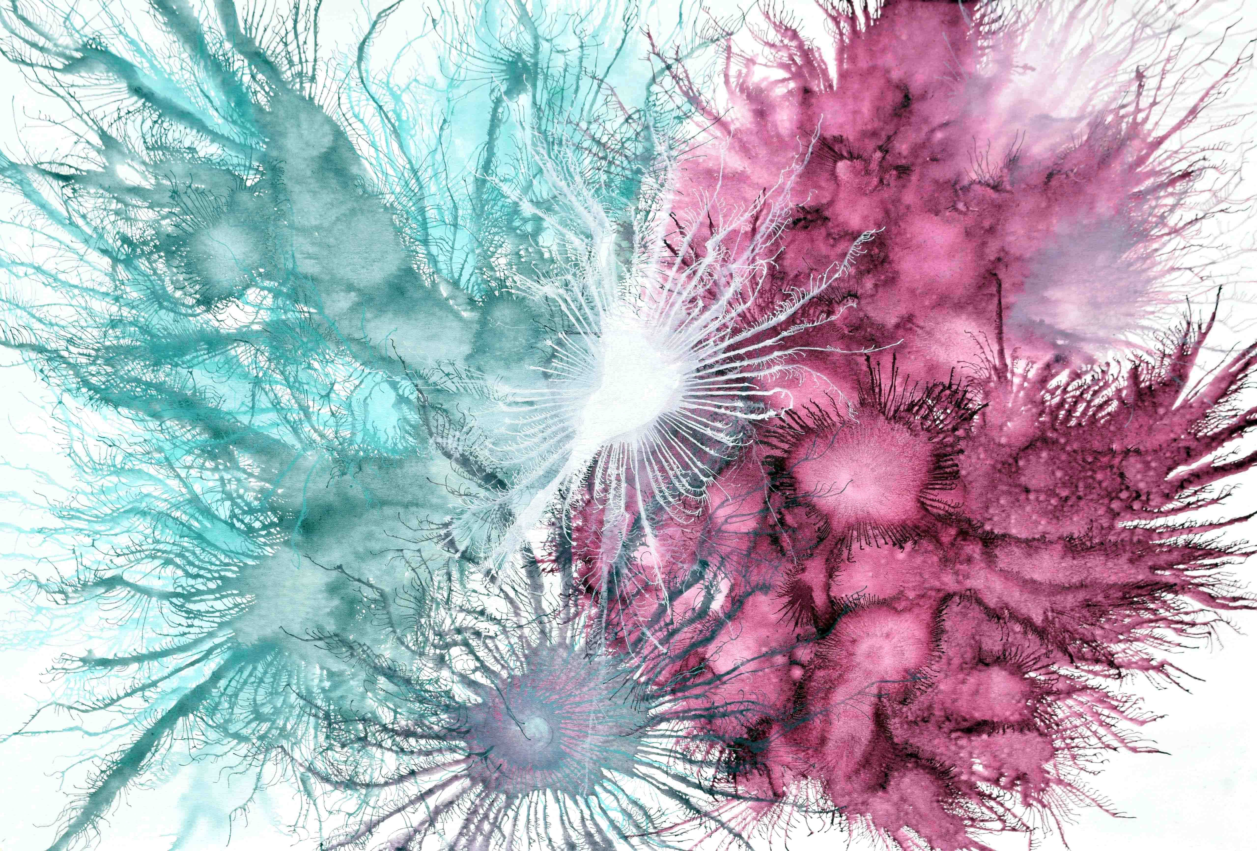 Sumit Mehndiratta, Exploflora Series No.71 Sumit Mehndiratta, Exploflora Series No.71