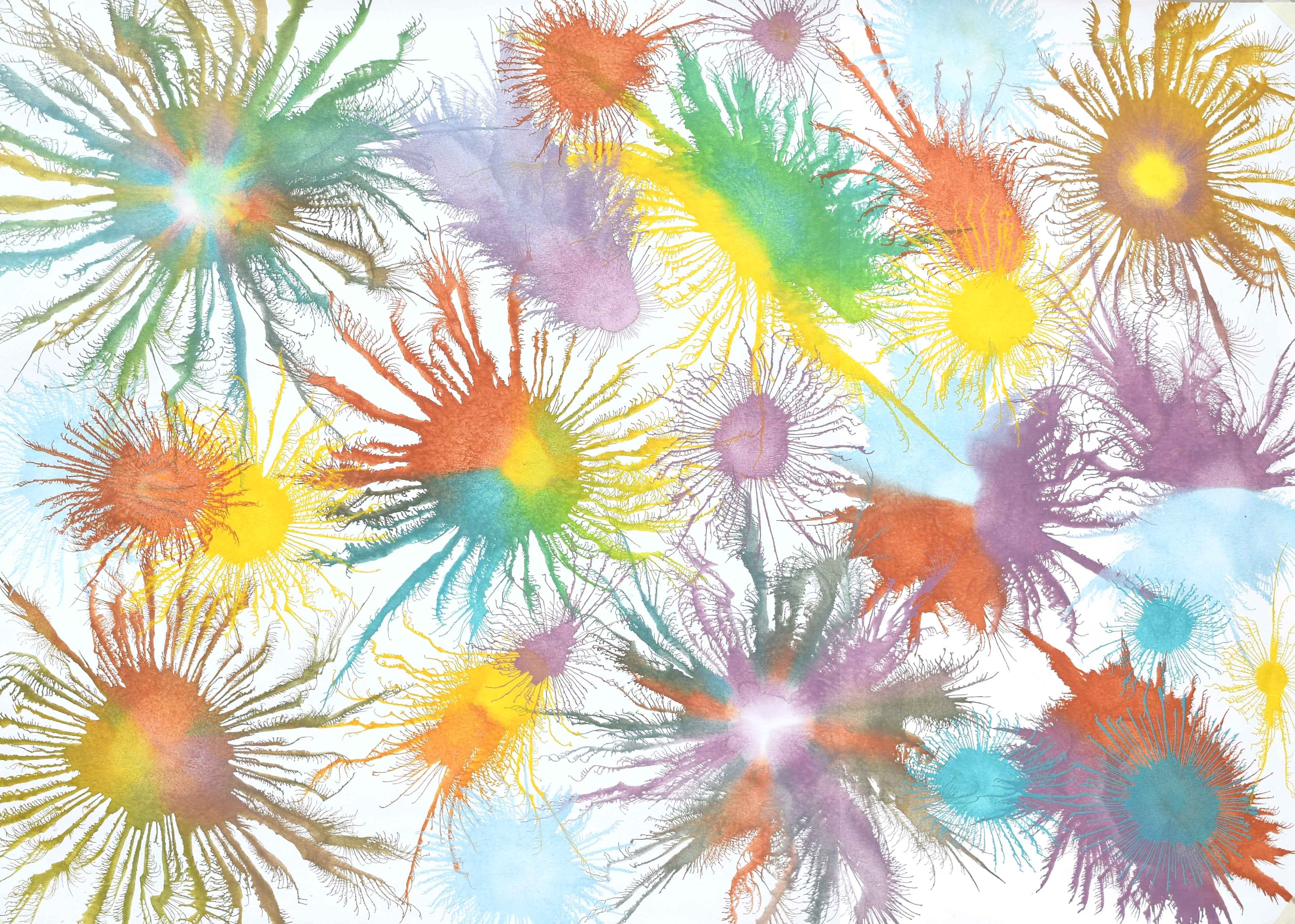 Sumit Mehndiratta, Exploflora Series No.72 Sumit Mehndiratta, Exploflora Series No.72
