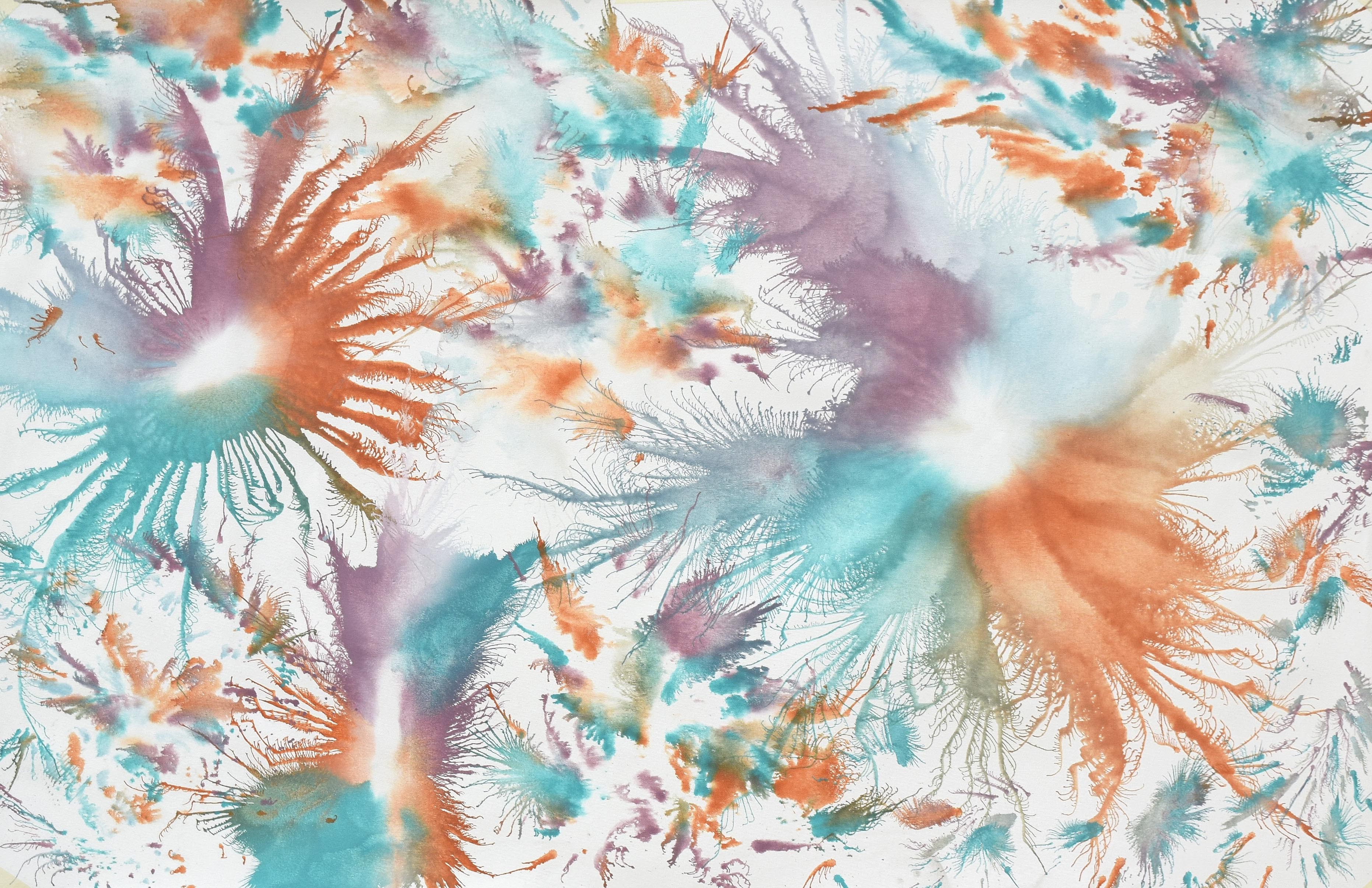 Sumit Mehndiratta, Exploflora Series No.73 Sumit Mehndiratta, Exploflora Series No.73