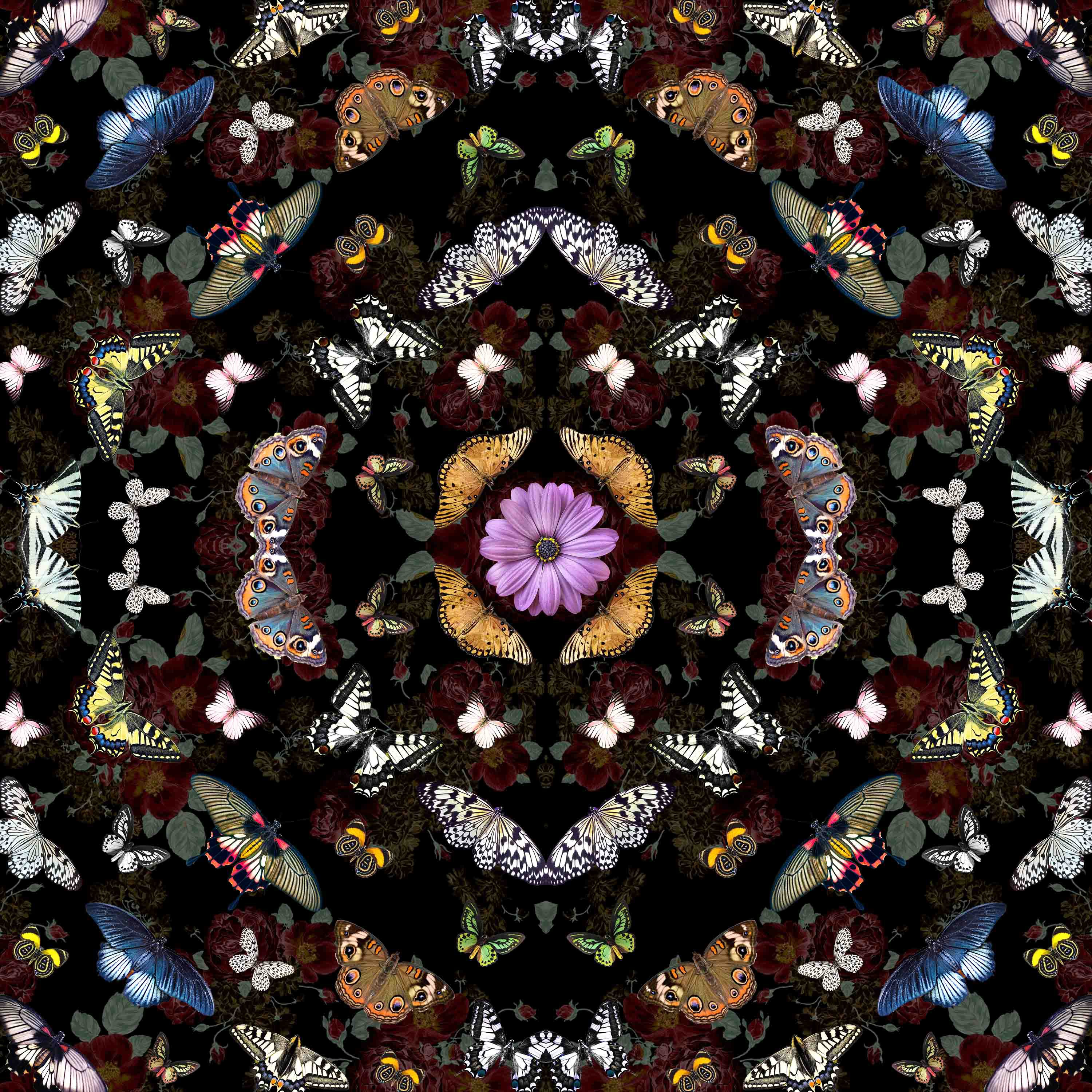 Sumit Mehndiratta, Lowres Gathering Sumit Mehndiratta, Lowres Gathering