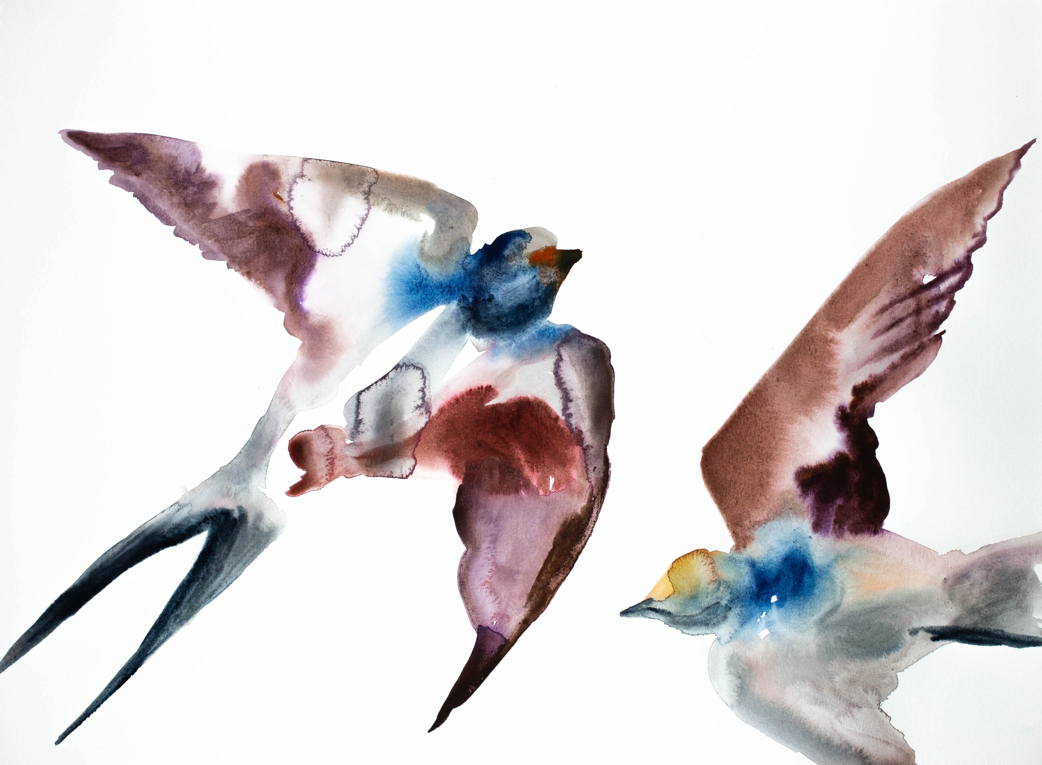 Elizabeth Becker, Swallows in Flight No. 11 Elizabeth Becker, Swallows in Flight No. 11