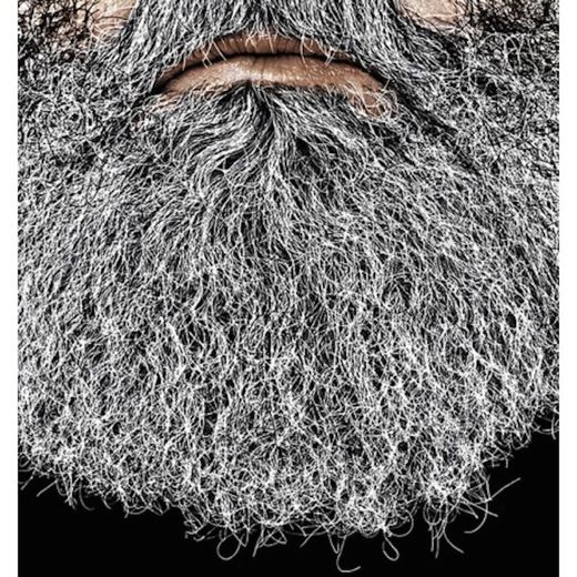 Dimitri Tolstoi
