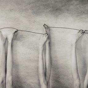 Photographie, Happy Feet, Alessandra Favetto