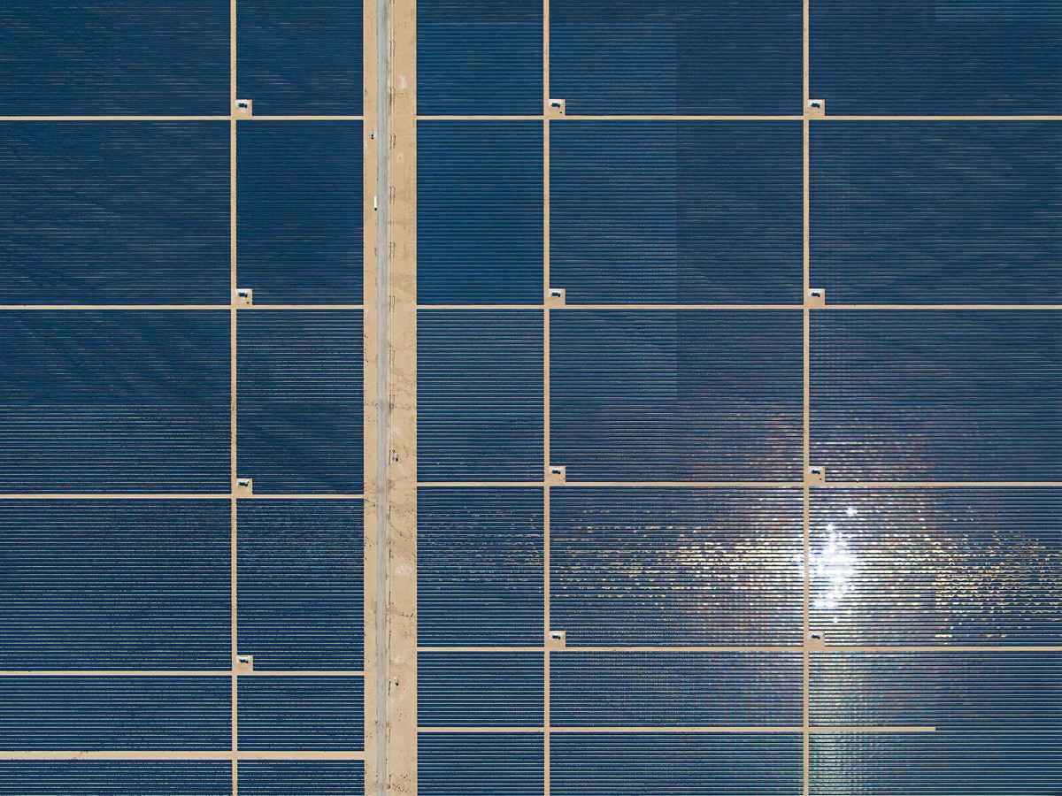 Bernhard Lang, AV_Solar_Plants_002 Bernhard Lang, AV_Solar_Plants_002