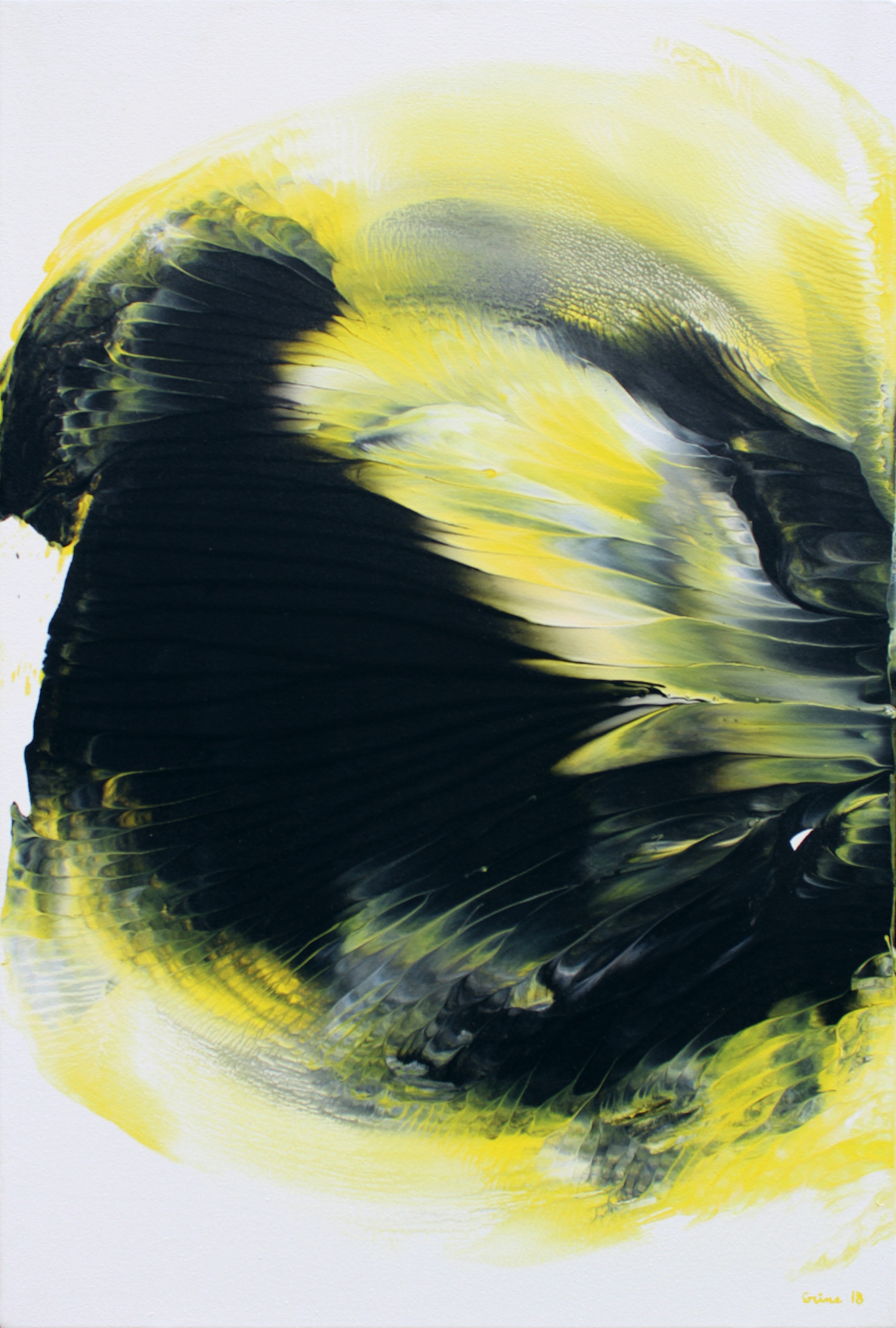 Michael Grine, Phylum I Michael Grine, Phylum I