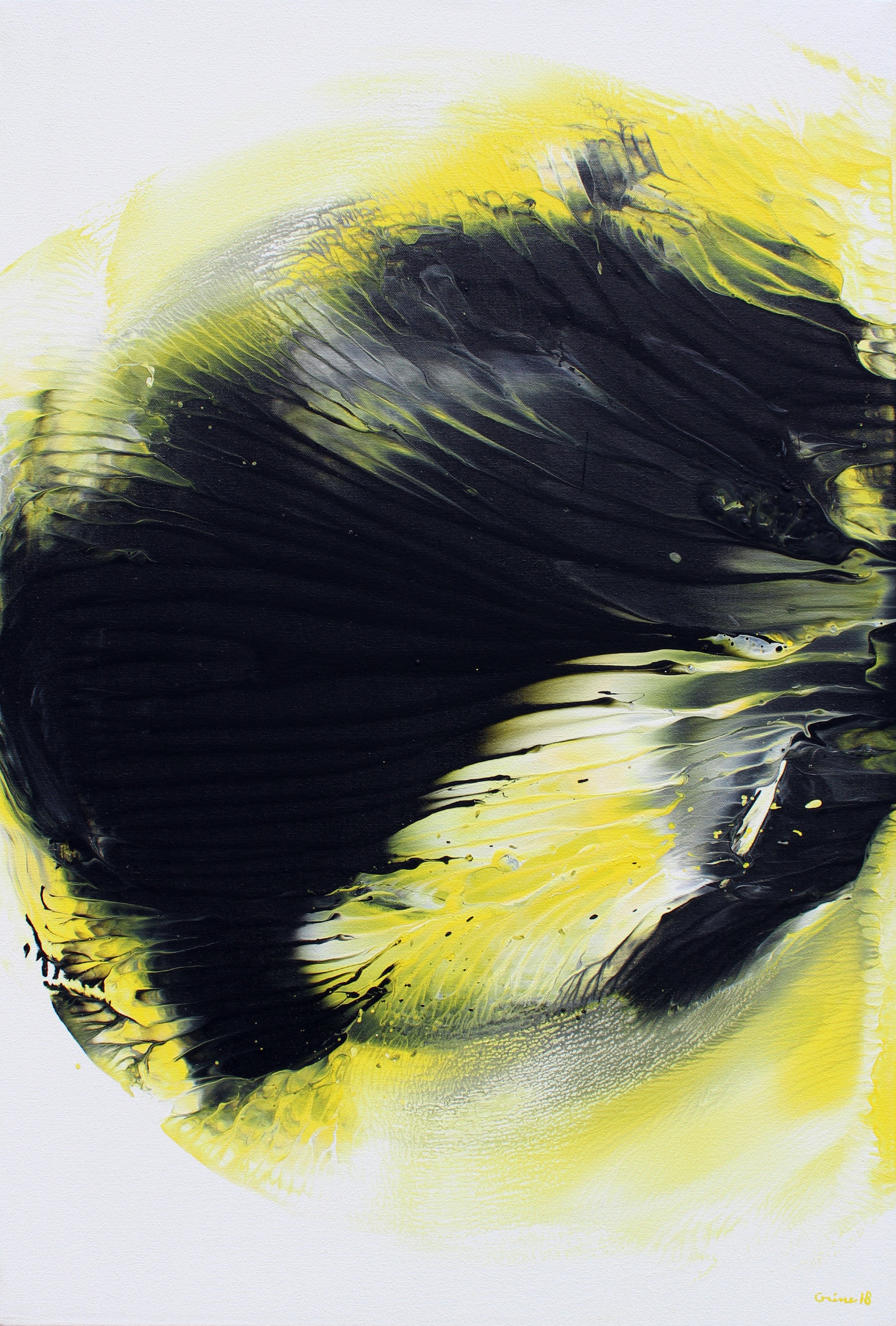 Michael Grine, Phylum II Michael Grine, Phylum II