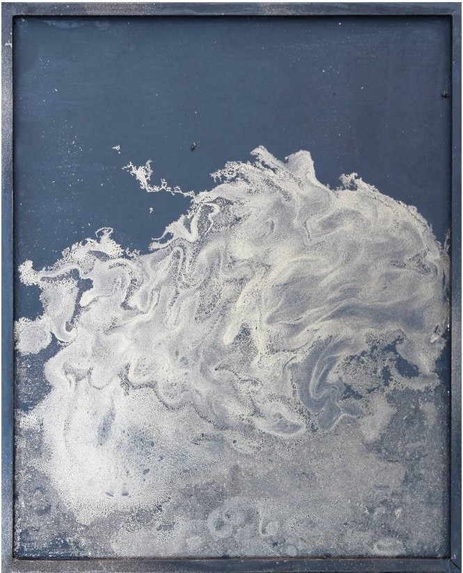 Michael Grine, Wash Michael Grine, Wash