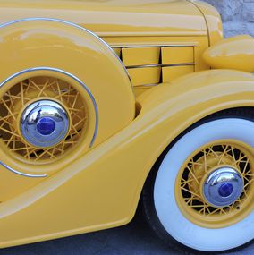 Yellow Car, Sandra Salamonová