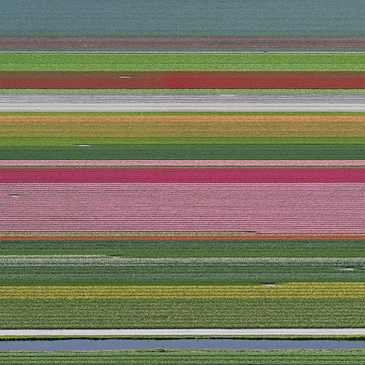 Bernhard Lang, AV_Tulip_Fields_014 Bernhard Lang, AV_Tulip_Fields_014