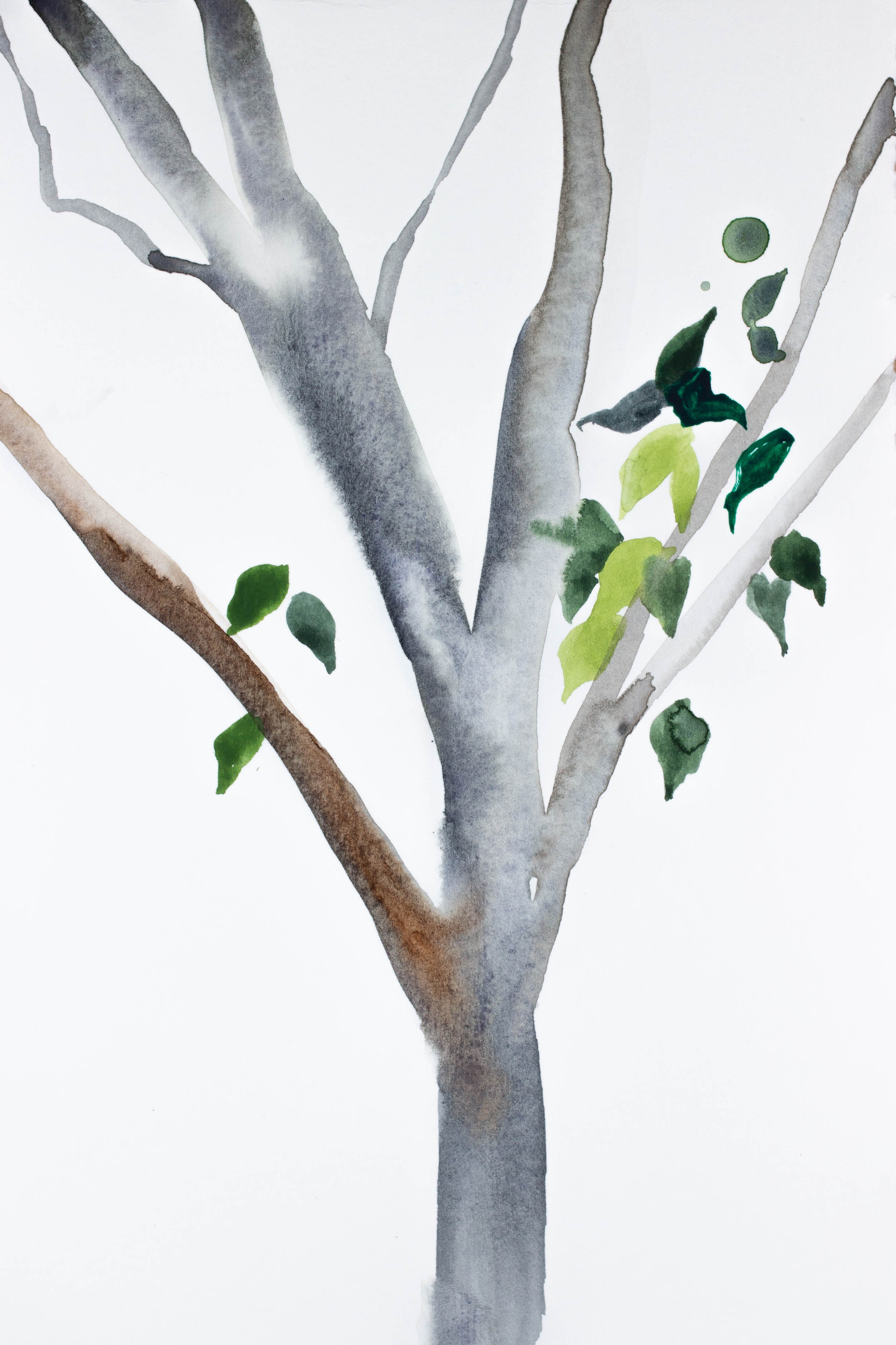 Elizabeth Becker, The Woods No. 68 Elizabeth Becker, The Woods No. 68