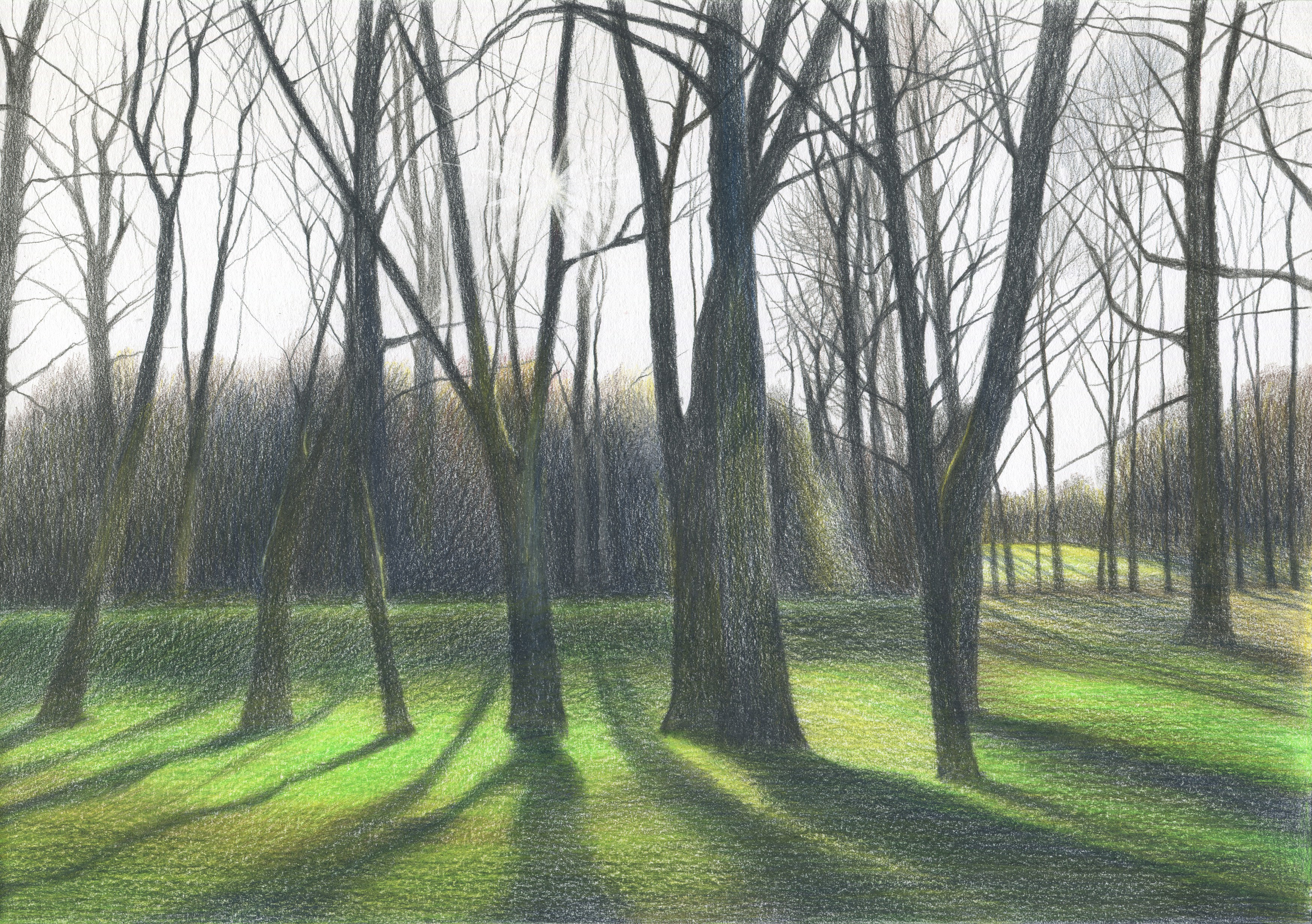 Evgeniya Buravleva, The evening Evgeniya Buravleva, The evening