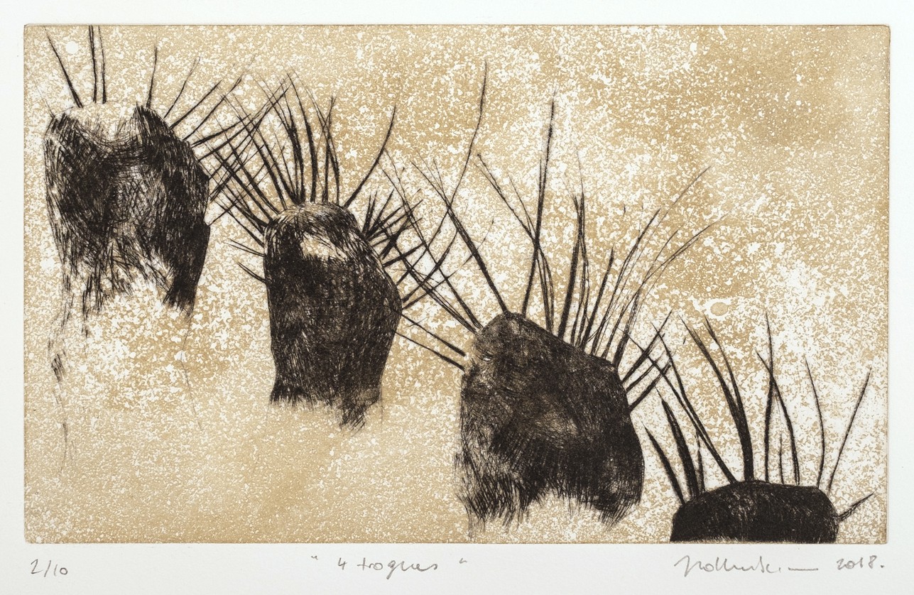 Jana Lottenburger, 4 trognes Jana Lottenburger, 4 trognes