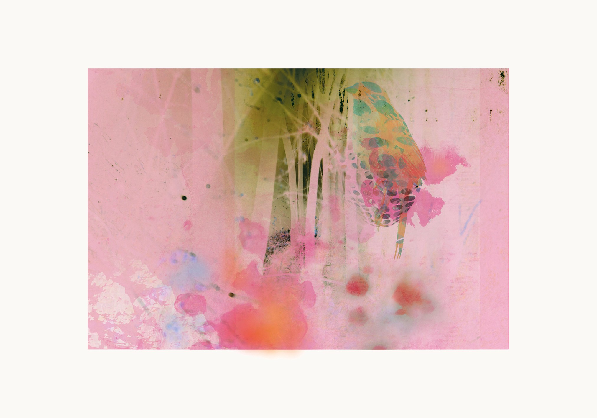 Francisco Nicolás, One bird at the forest Francisco Nicolás, One bird at the forest