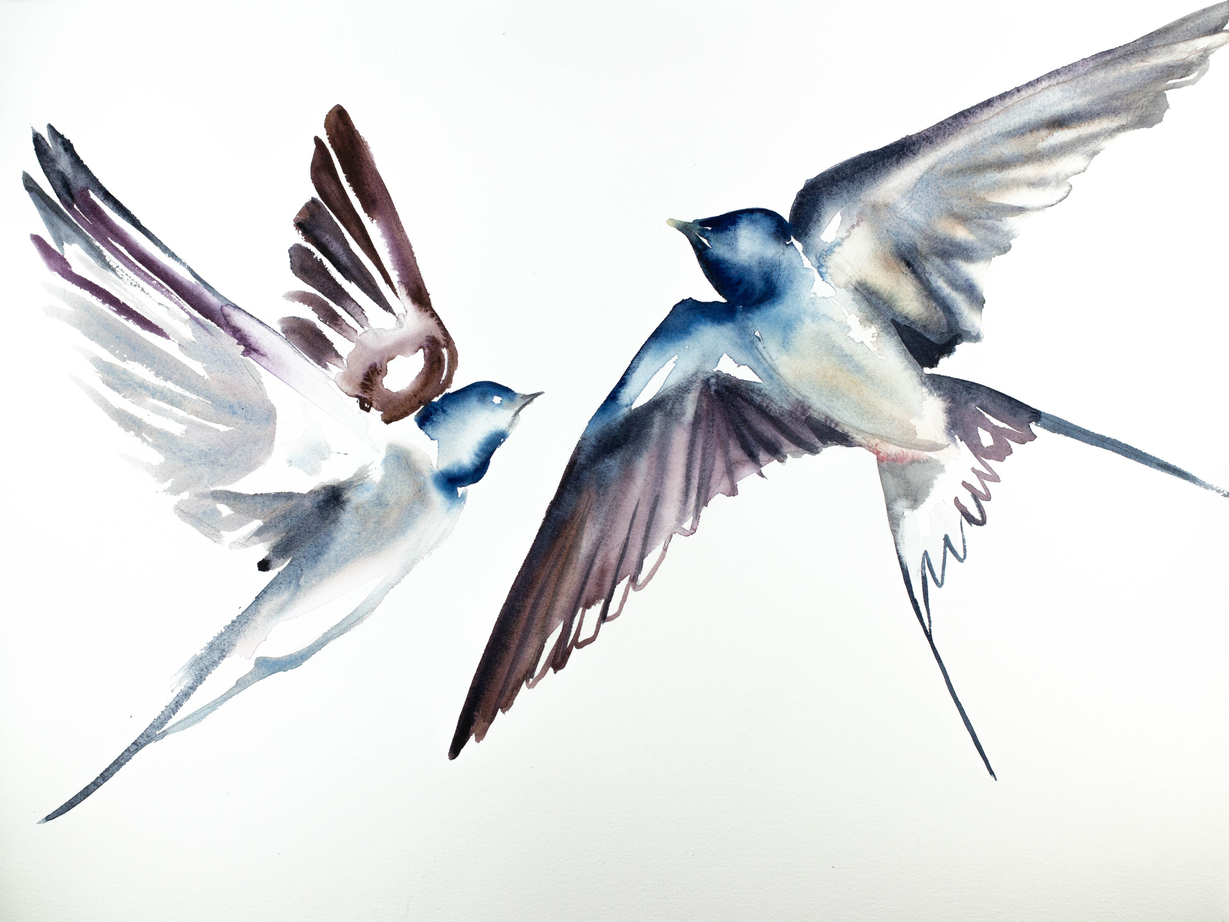 Elizabeth Becker, Swallows in Flight No. 18 Elizabeth Becker, Swallows in Flight No. 18
